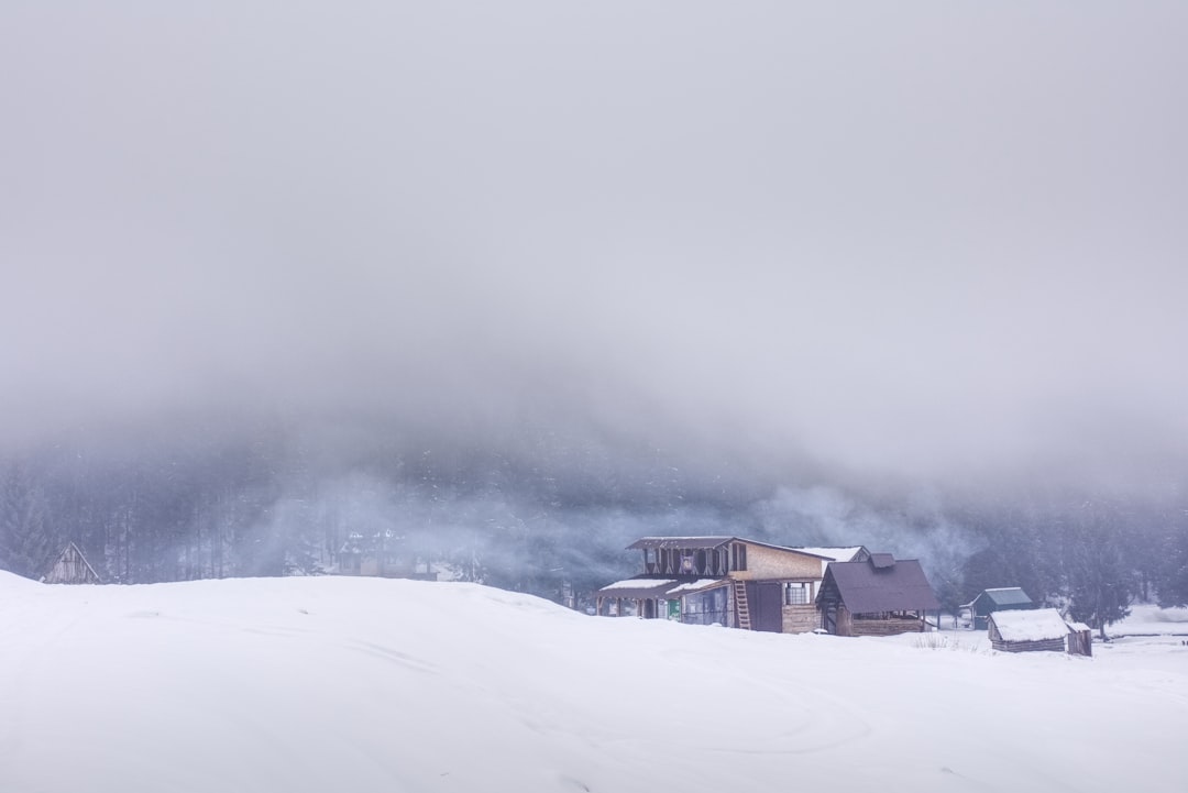 brown wooden house on snow covered ground