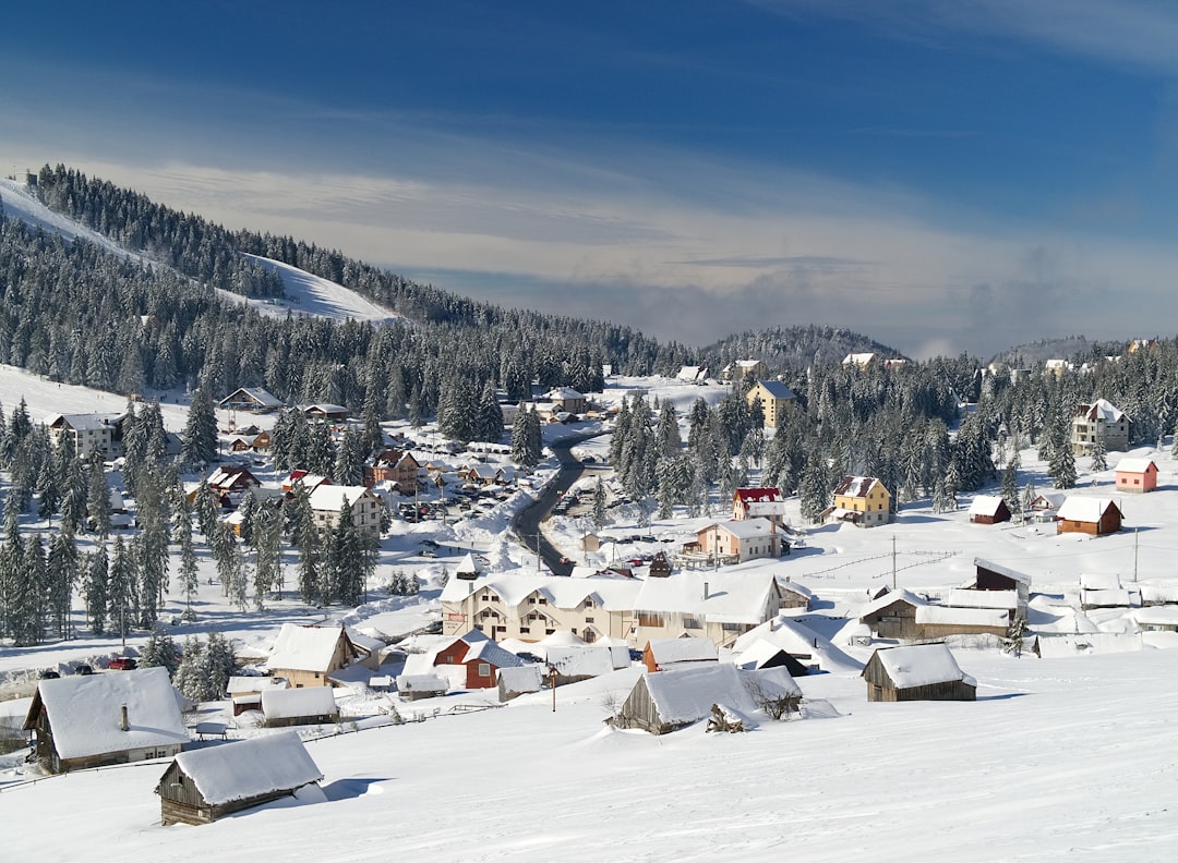 houses on snow covered ground during daytime