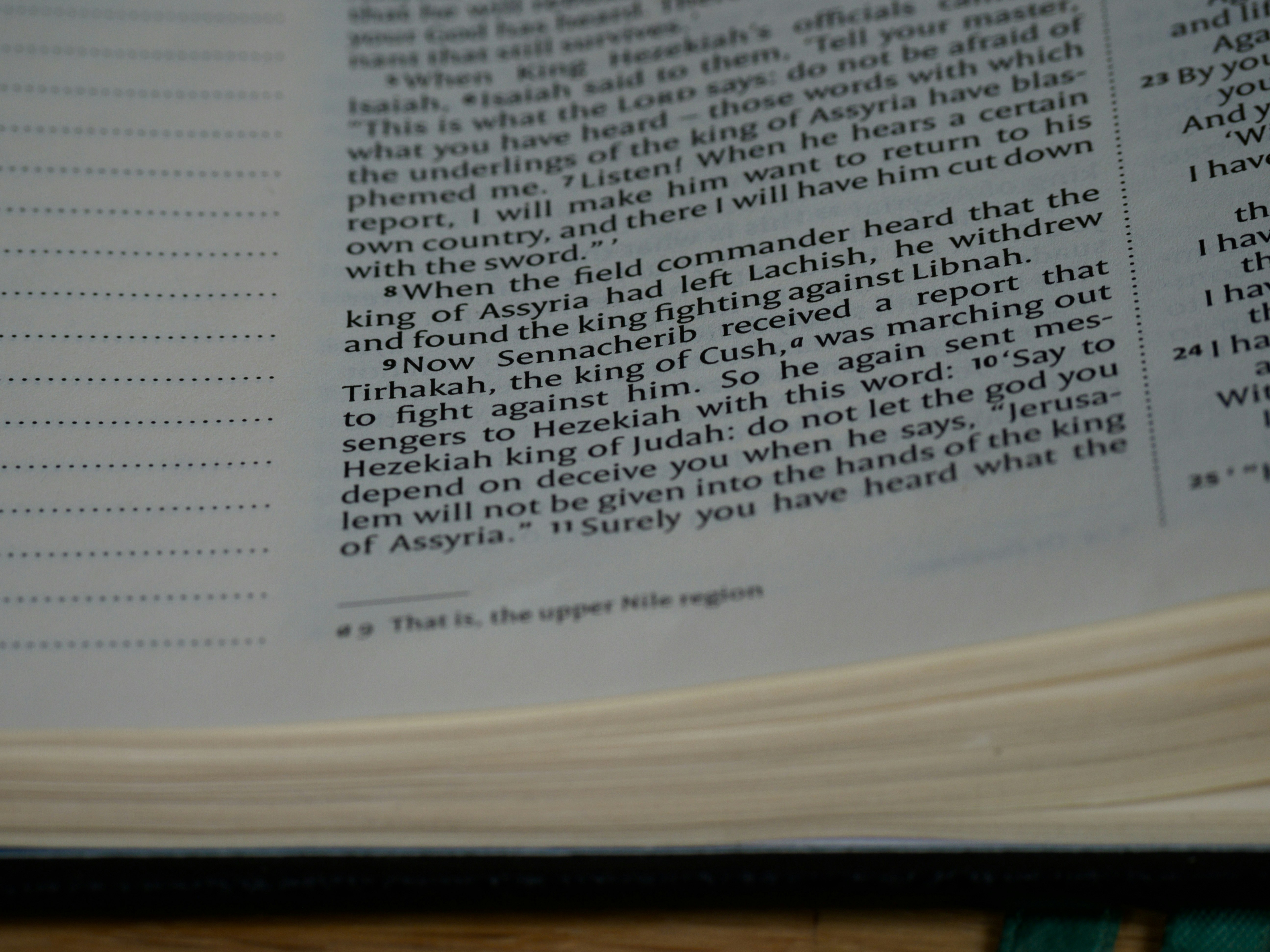 Photo by brett_jordan