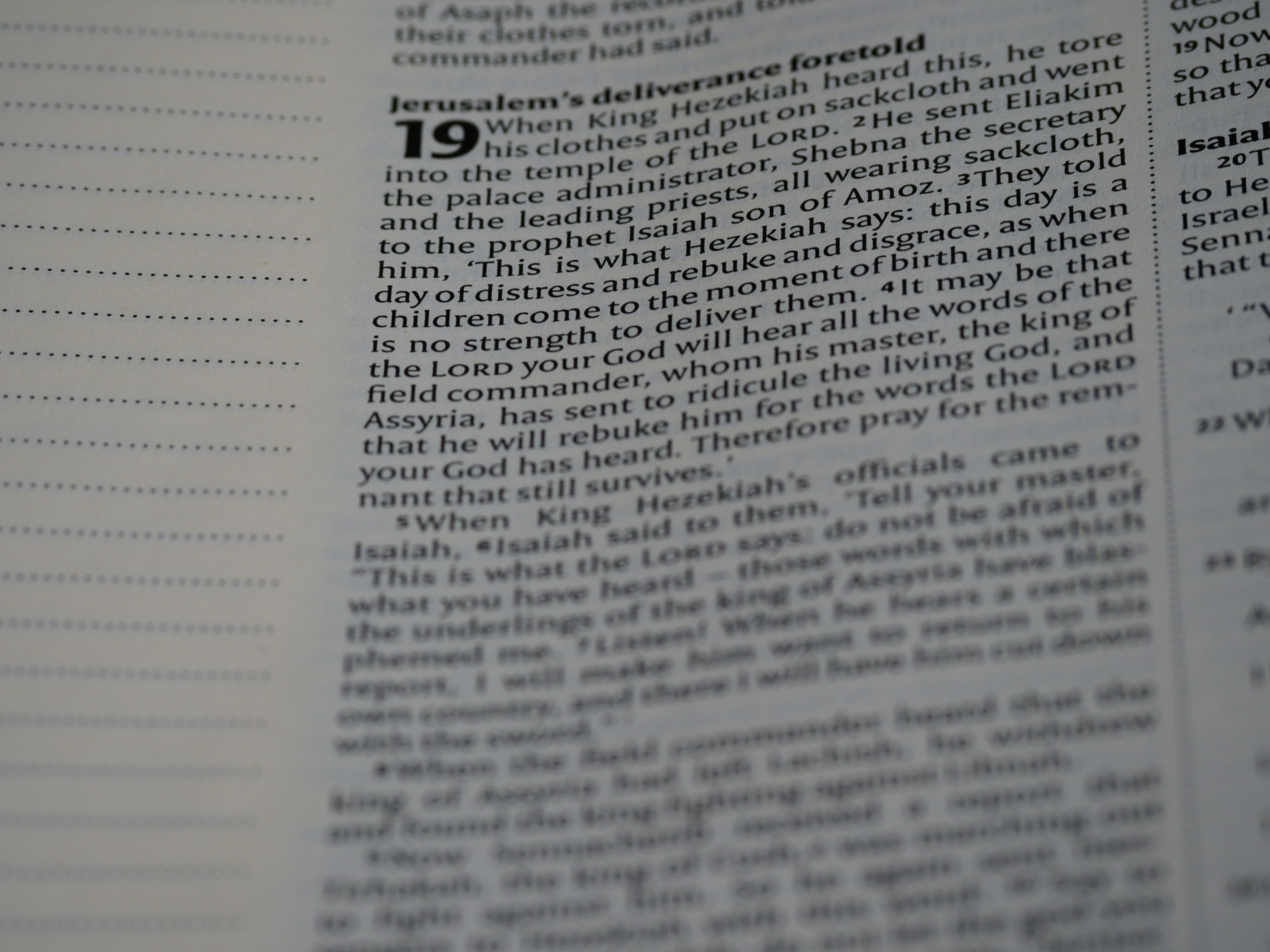 Photo by brett_jordan