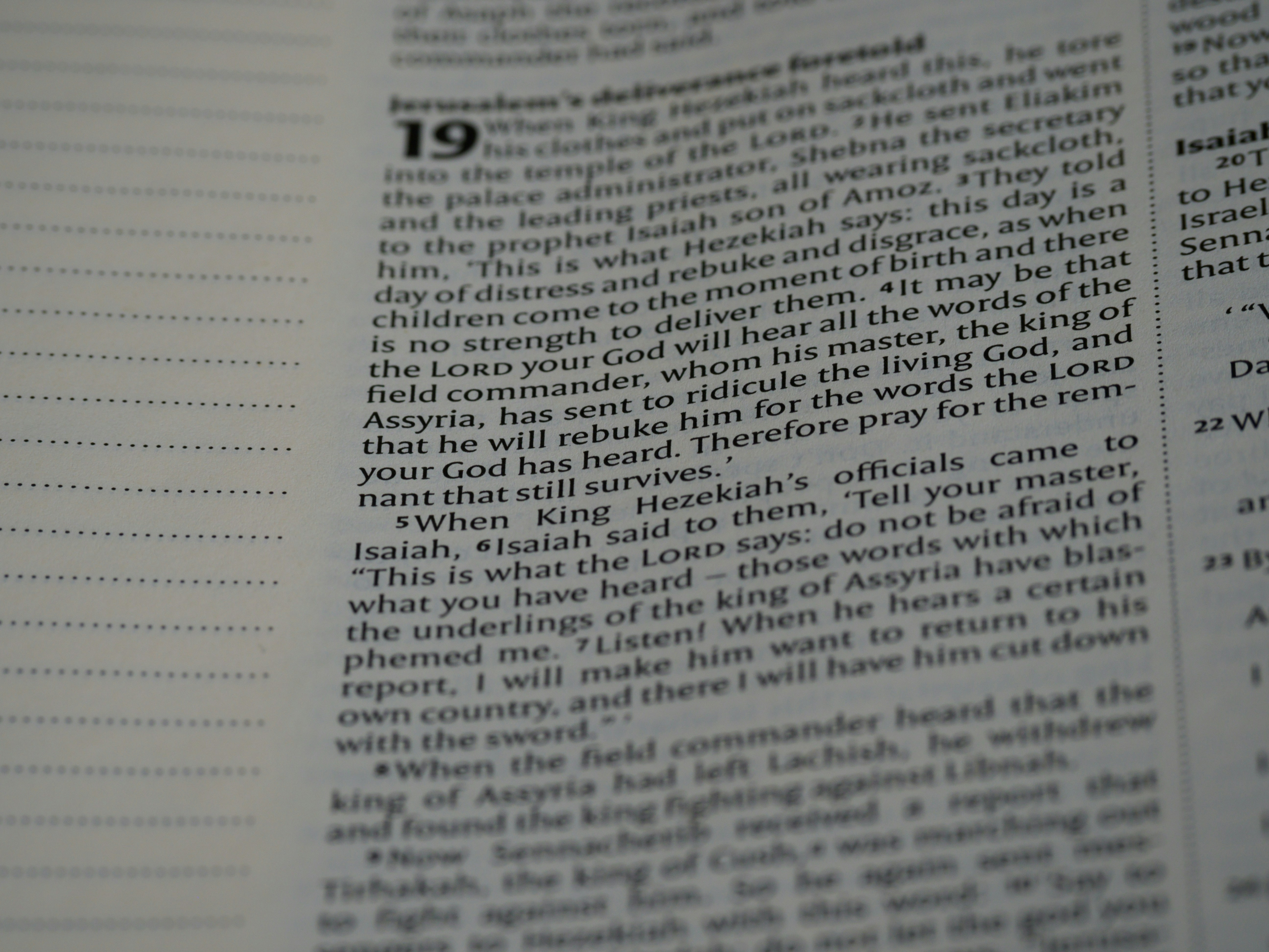 Photo by brett_jordan