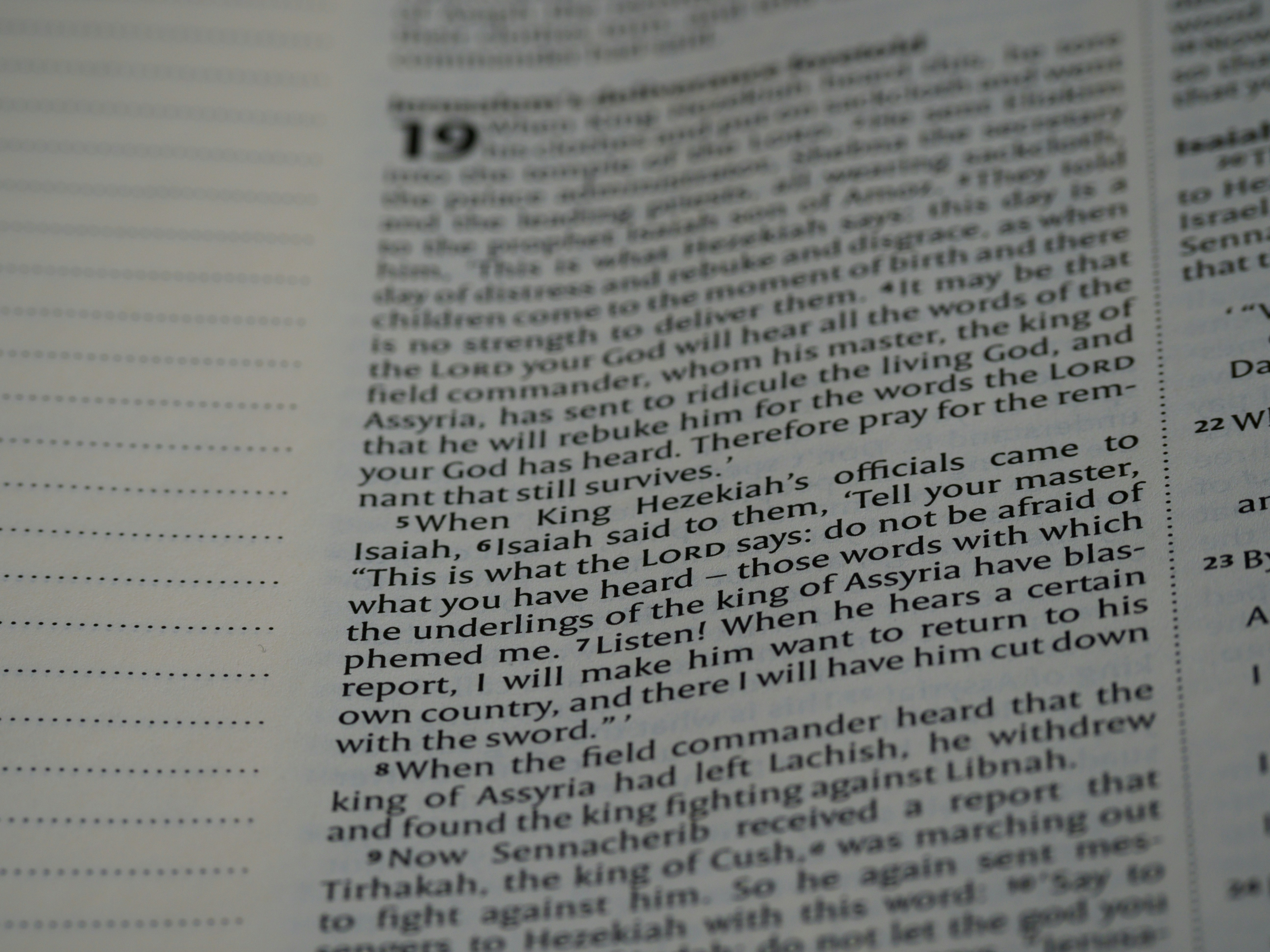 Photo by brett_jordan