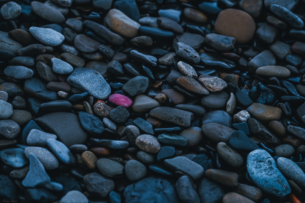 black and gray stones on water