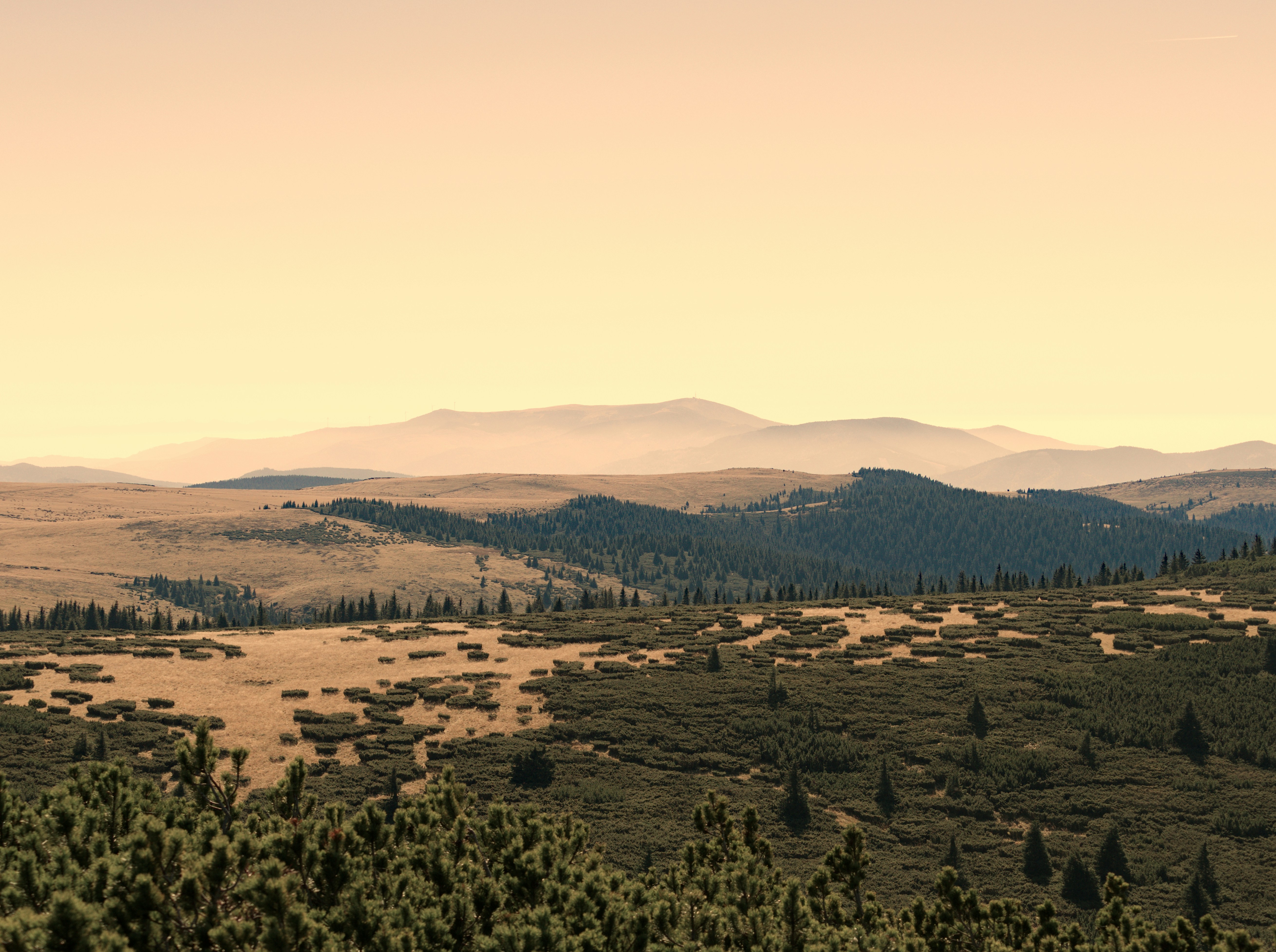 Photo by illes_cristi