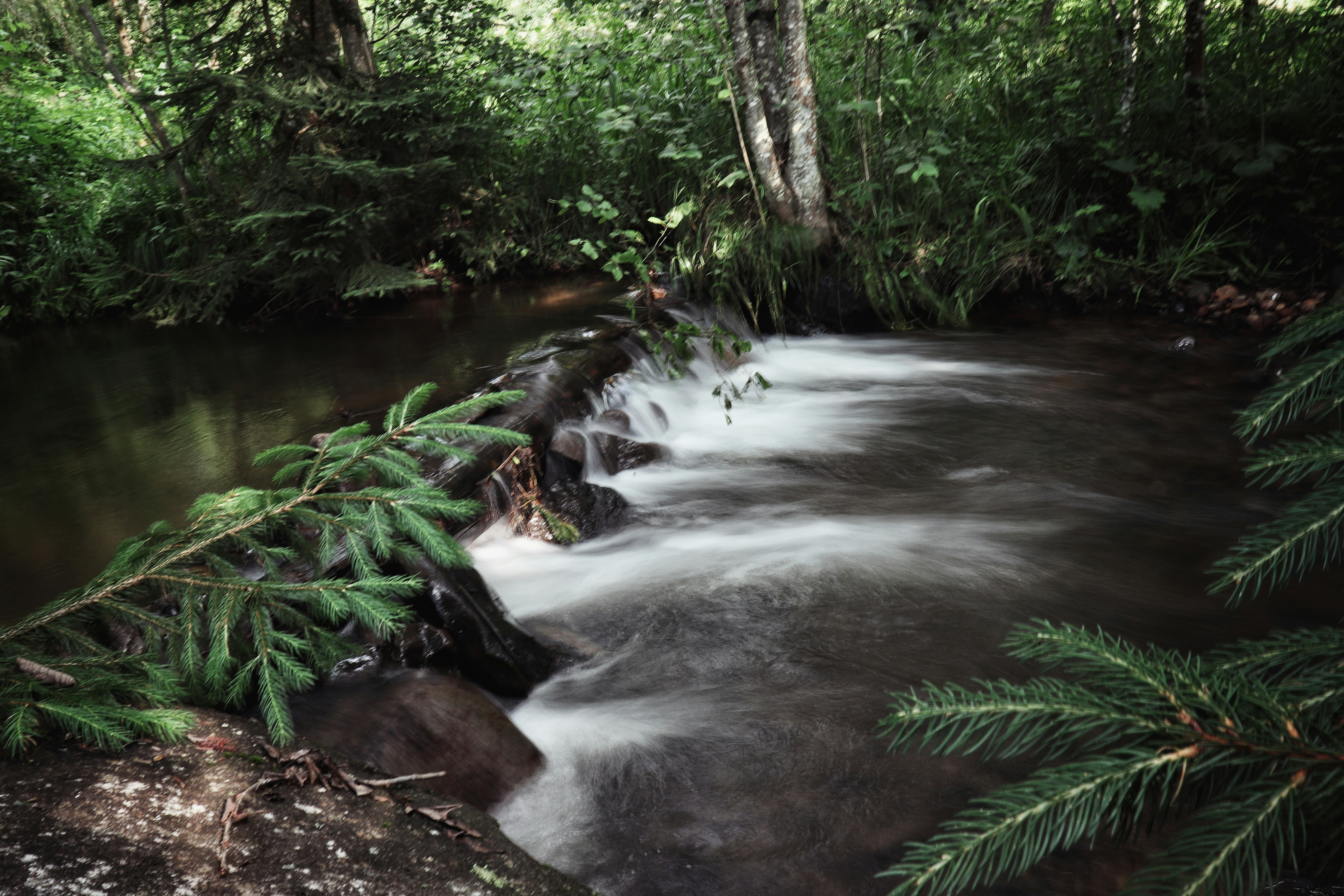 Photo by krisztian21