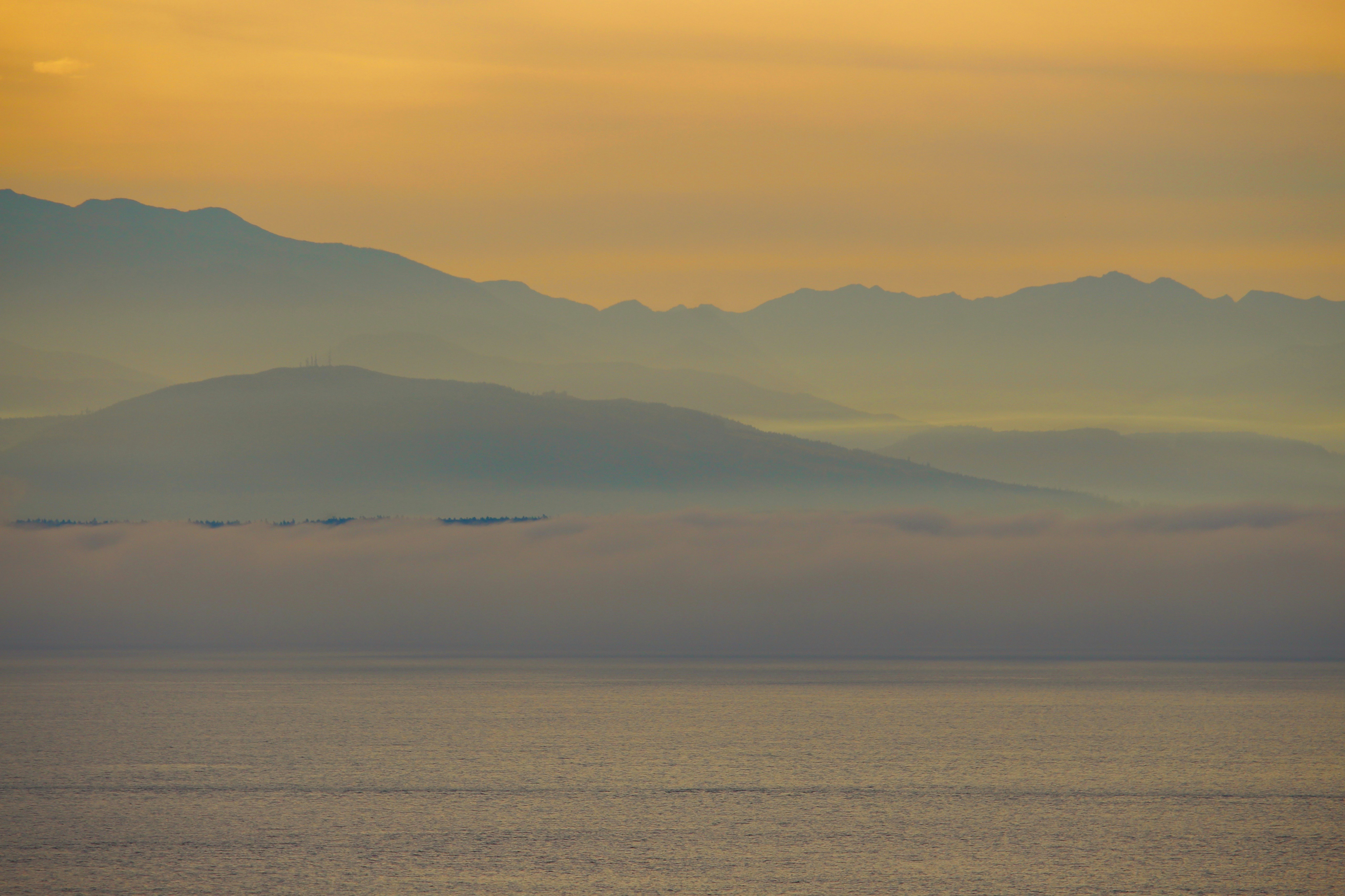 Photo by colleendown