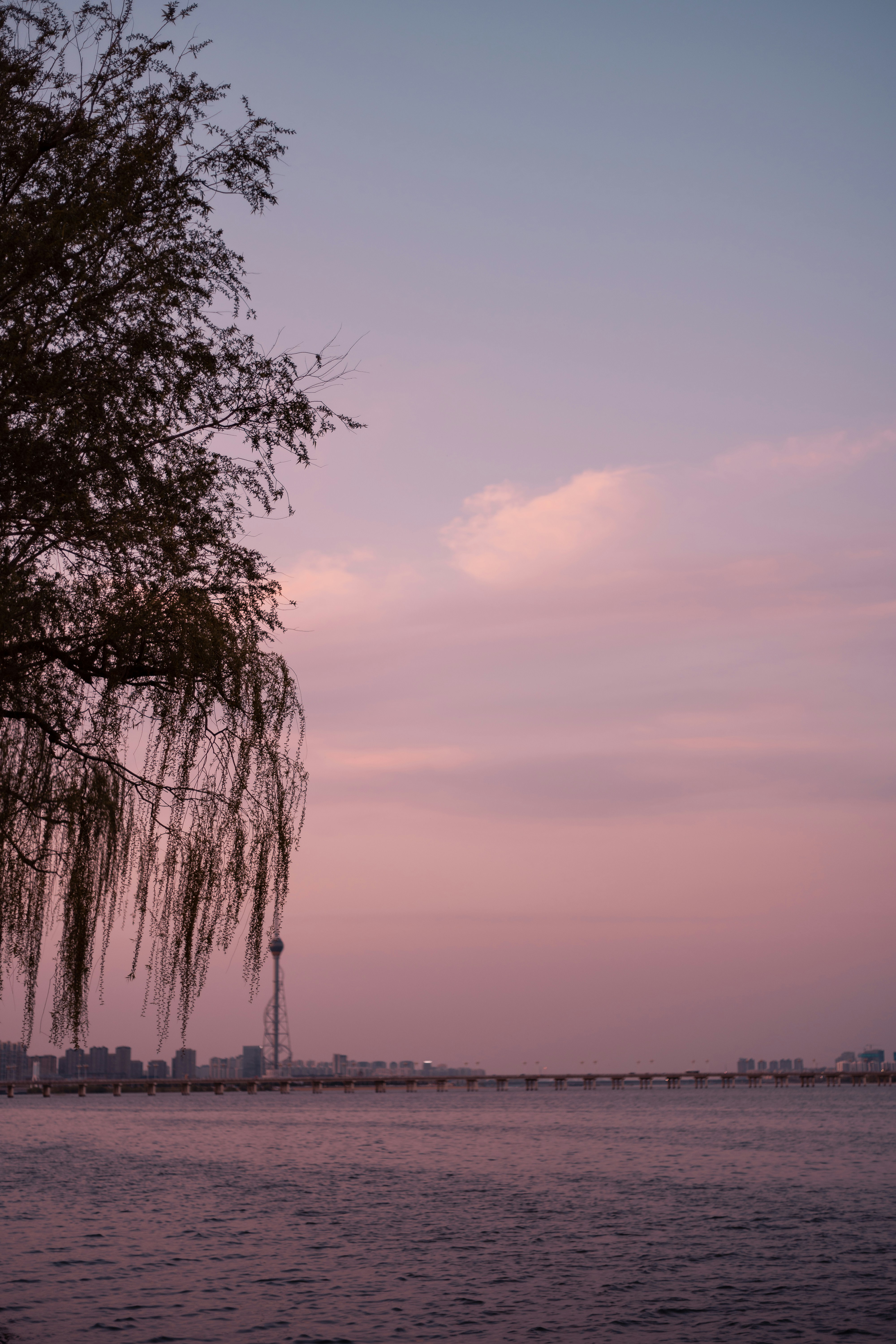 green trees near body of water during daytime