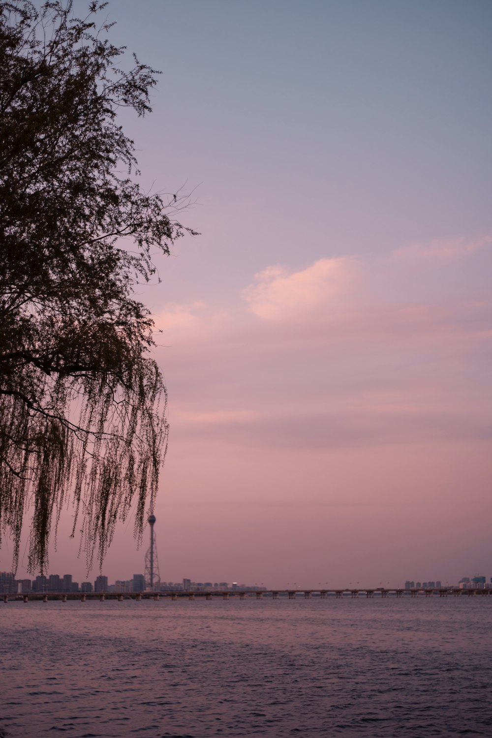 green trees near body of water during daytime