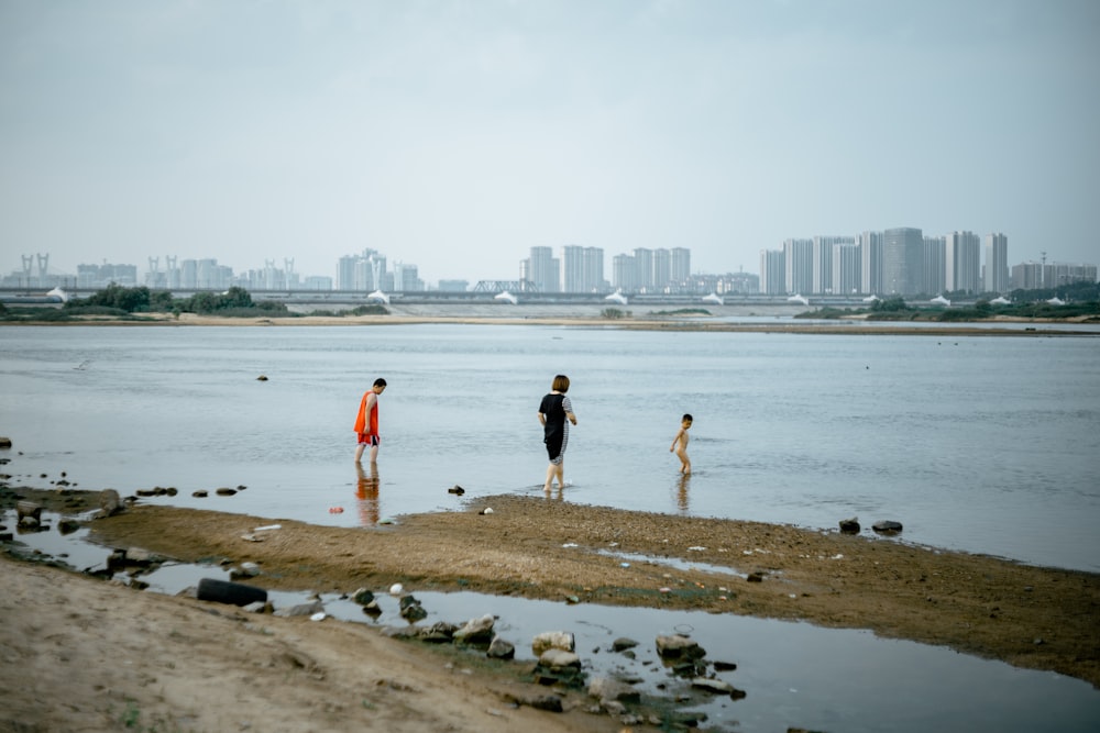 people standing on brown sand near body of water during daytime