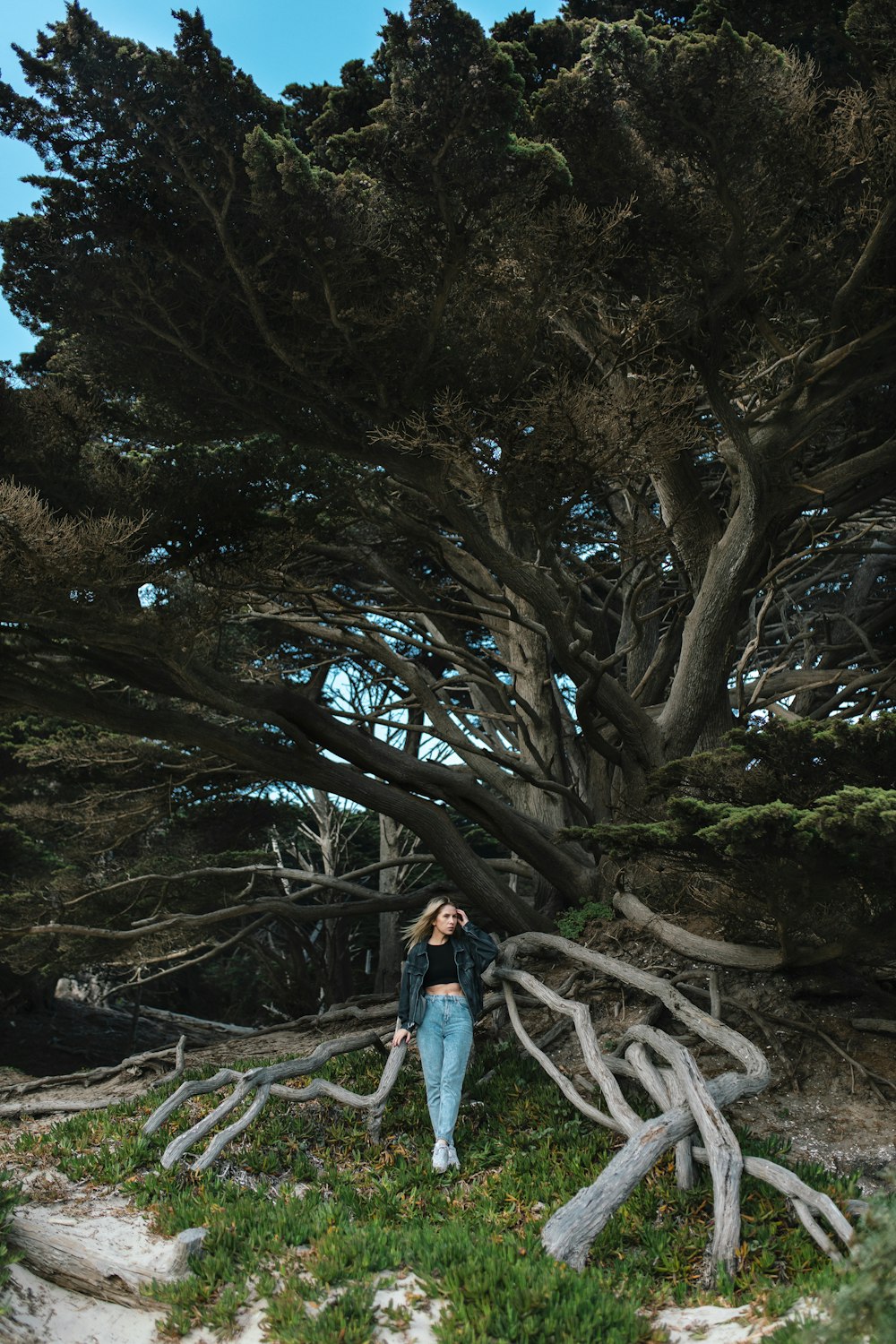 woman in black jacket standing near brown bare tree during daytime