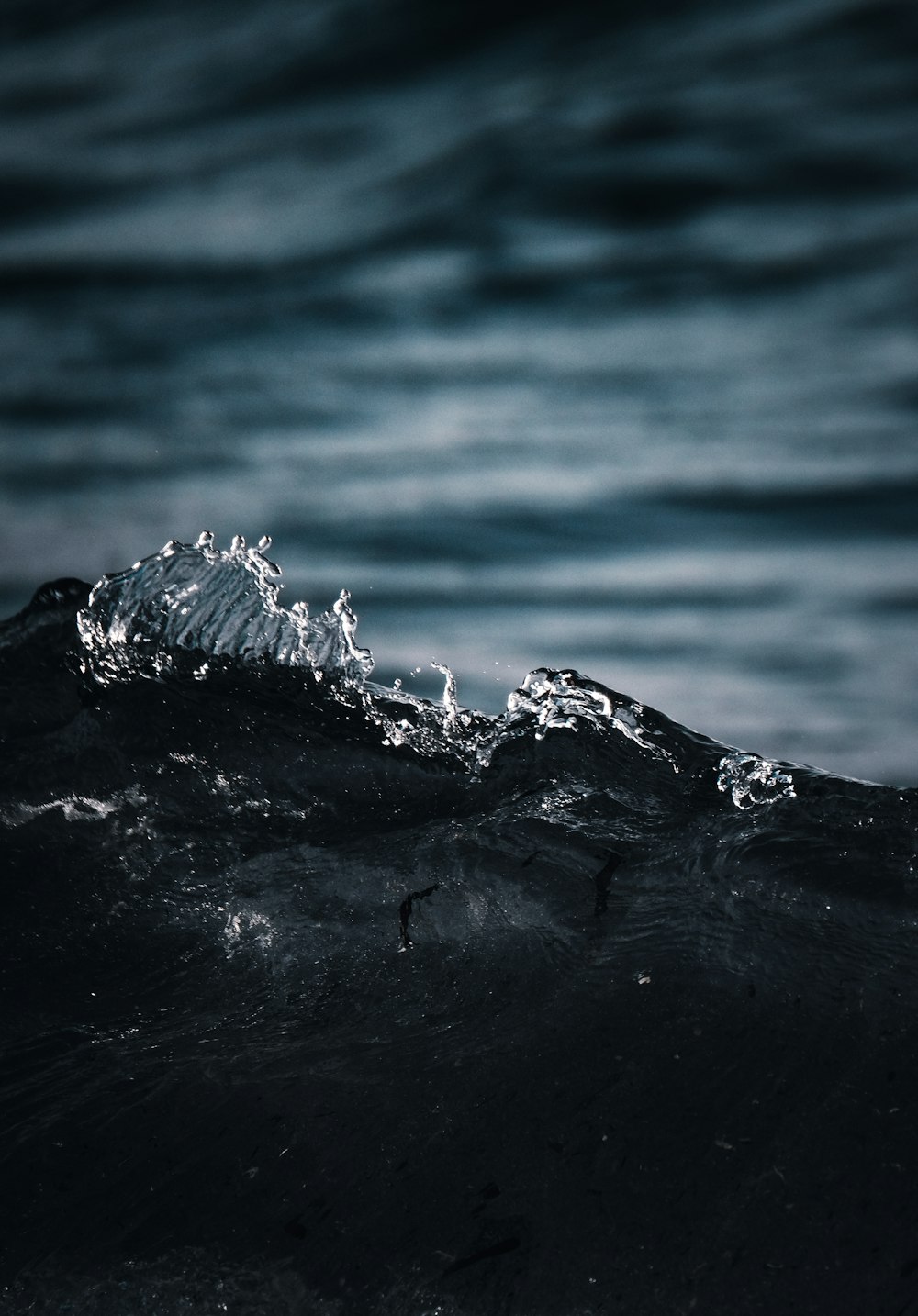 water splash in close up photography