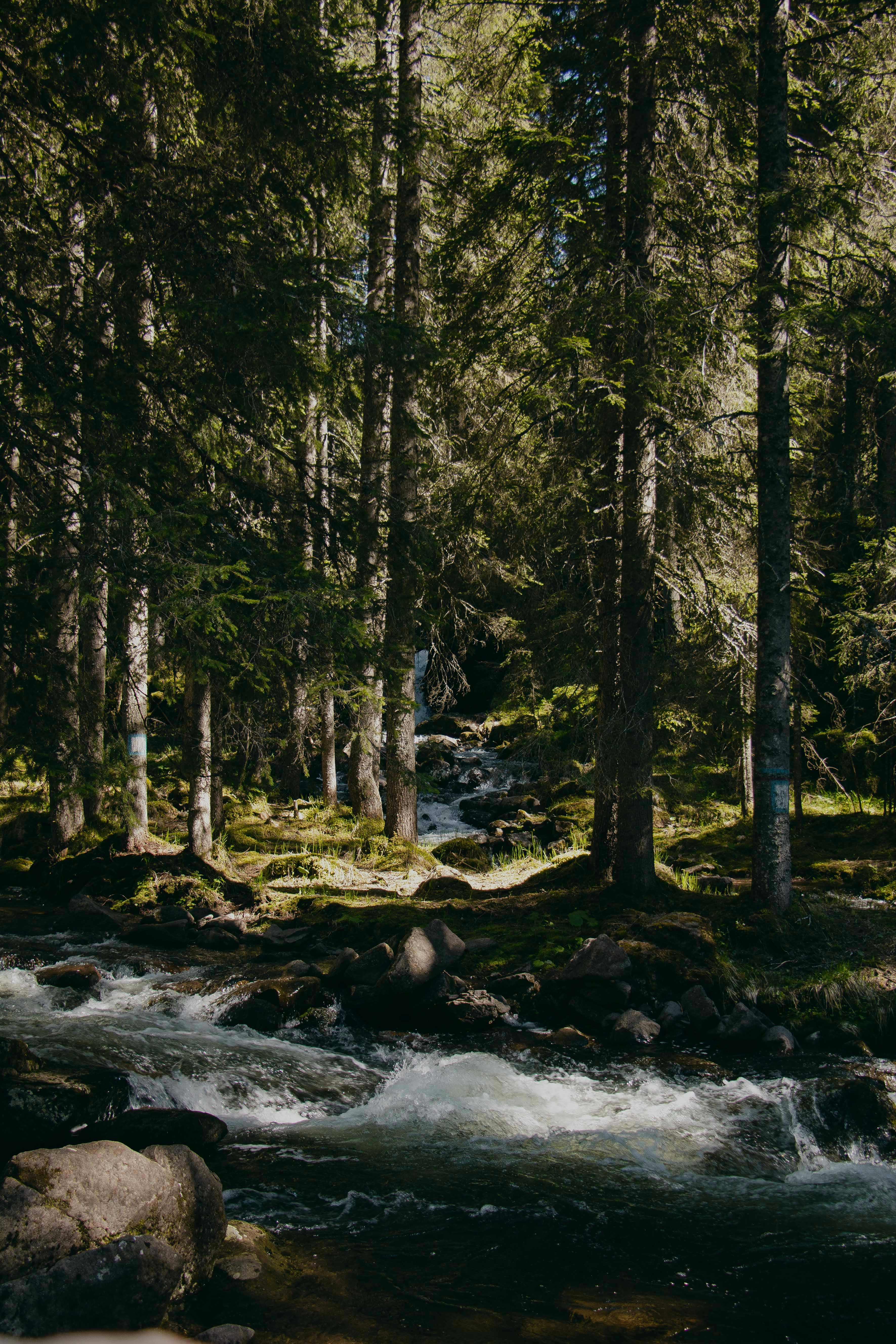 Photo by groblechnersara