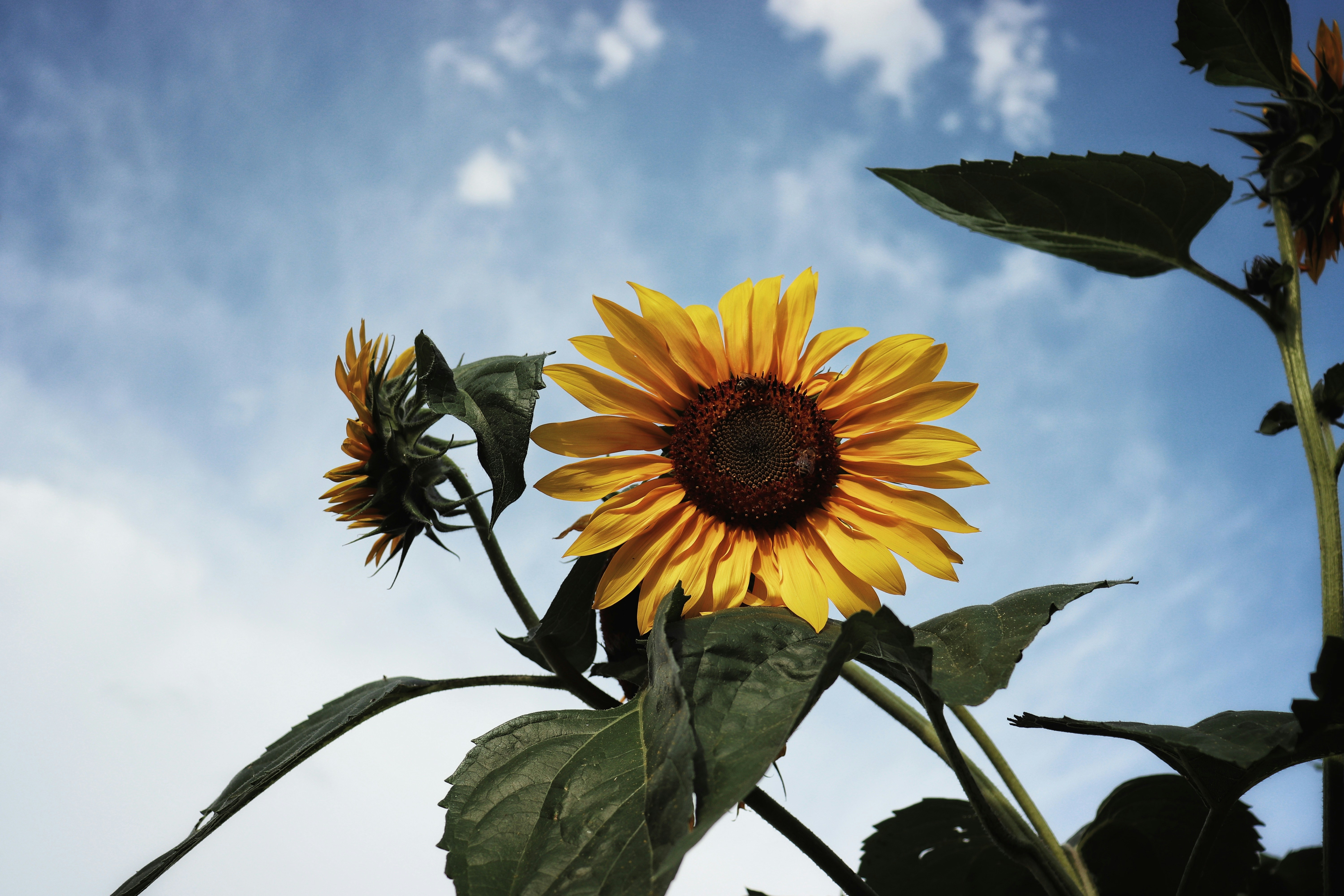 Photo by krisztian21