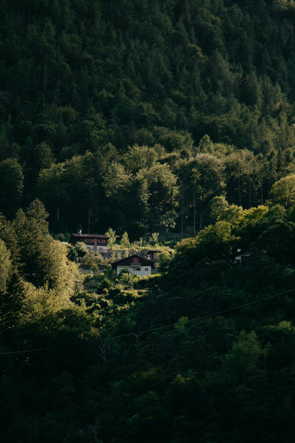 white and brown house on green forest during daytime