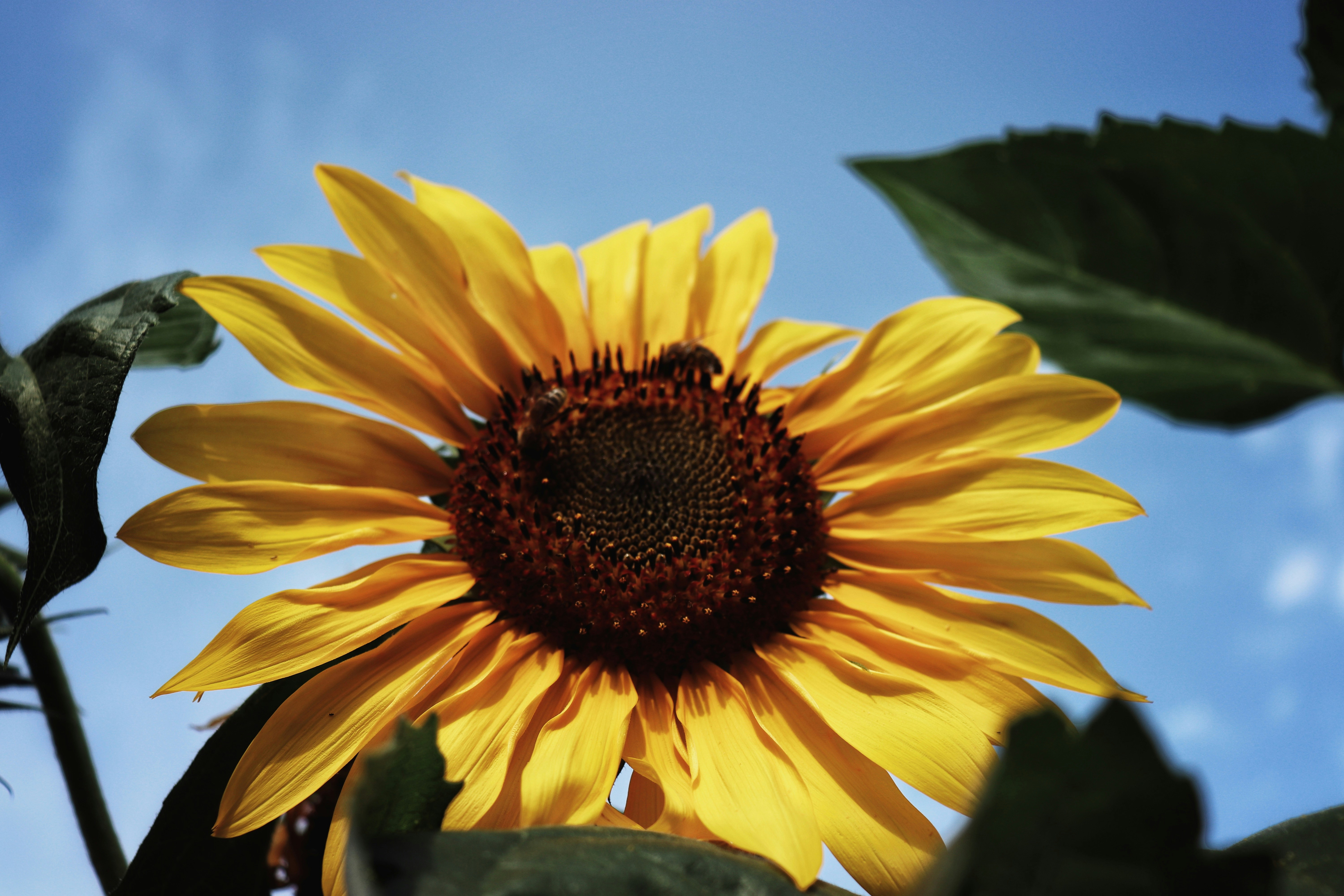 Photo by krisztian21