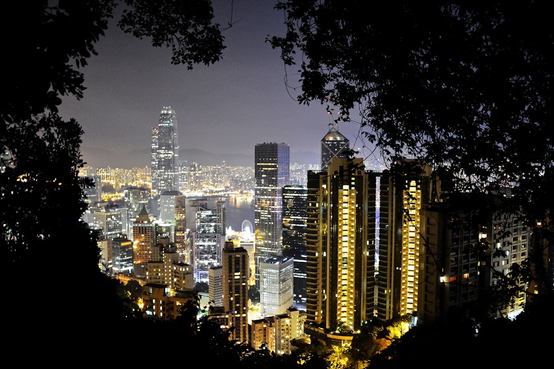 city skyline during night time