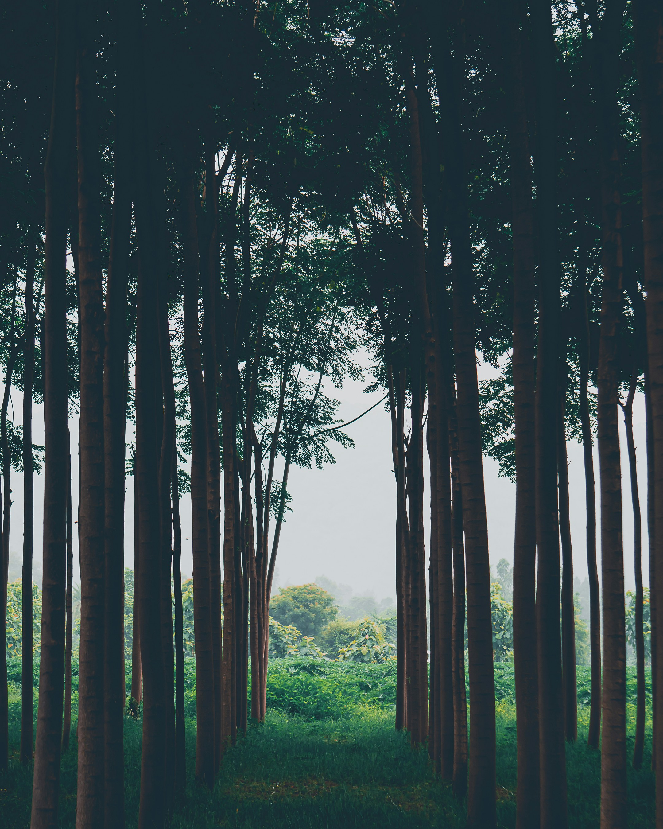 Photo by shubhamdodiya_