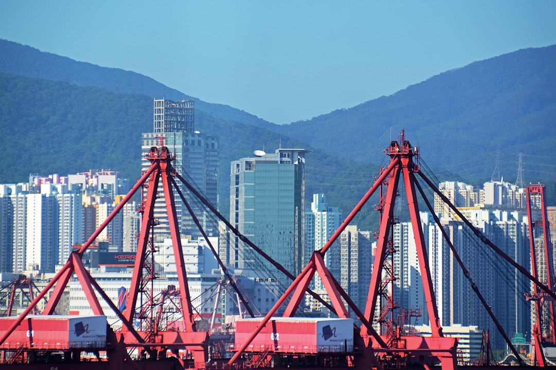 red and black bridge during daytime