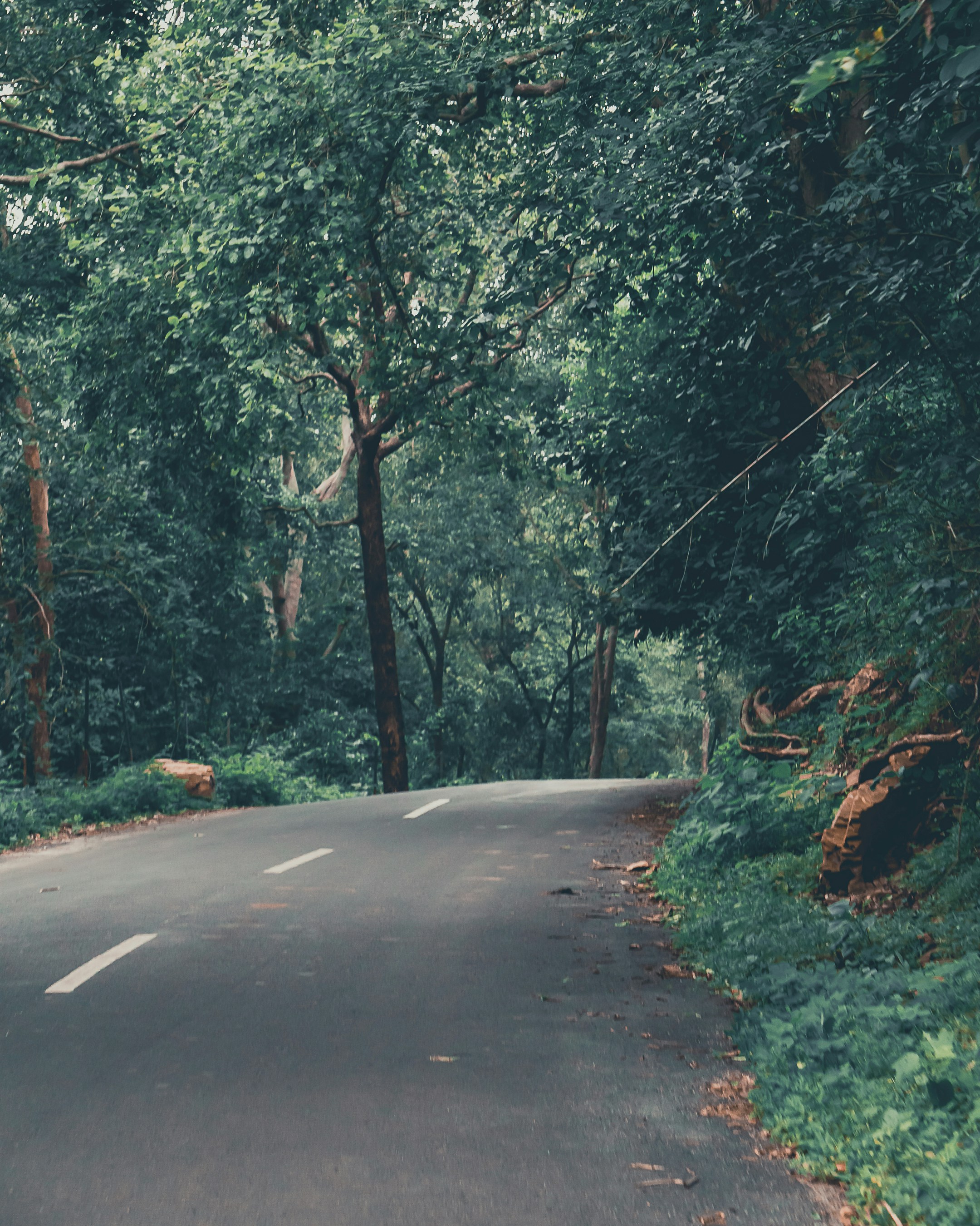 Photo by shubhamdodiya_