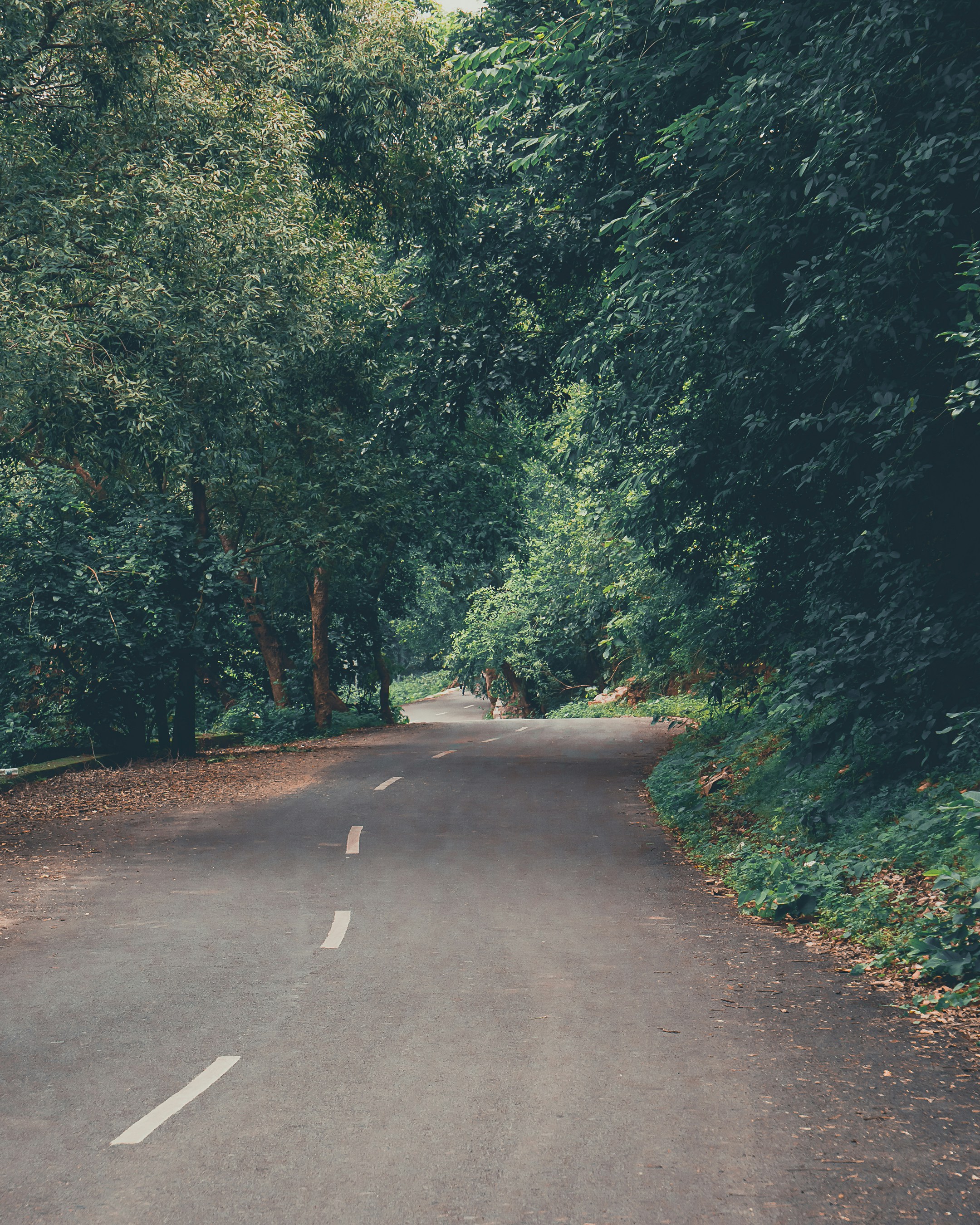 Photo by shubhamdodiya_