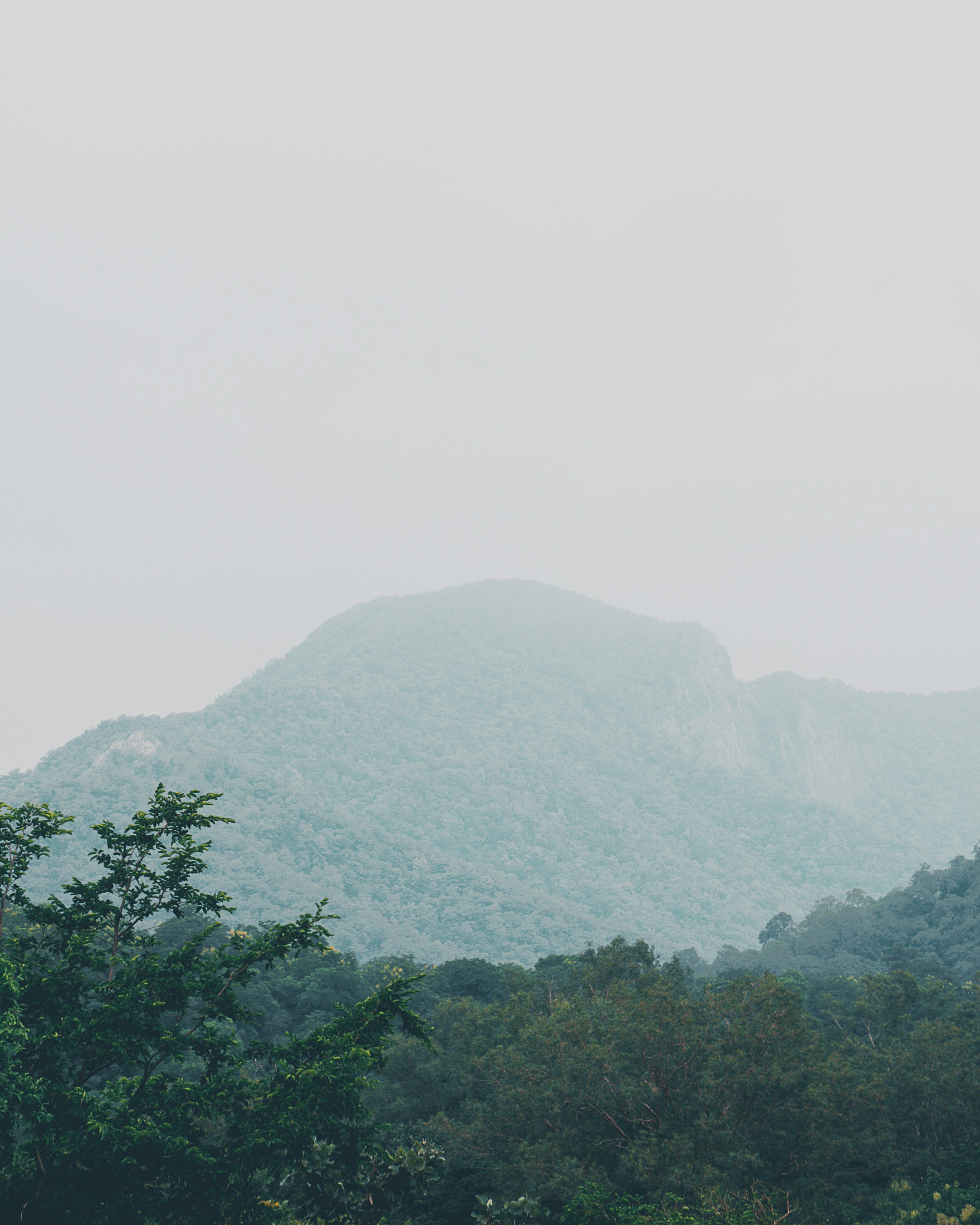 Photo by shubhamdodiya_