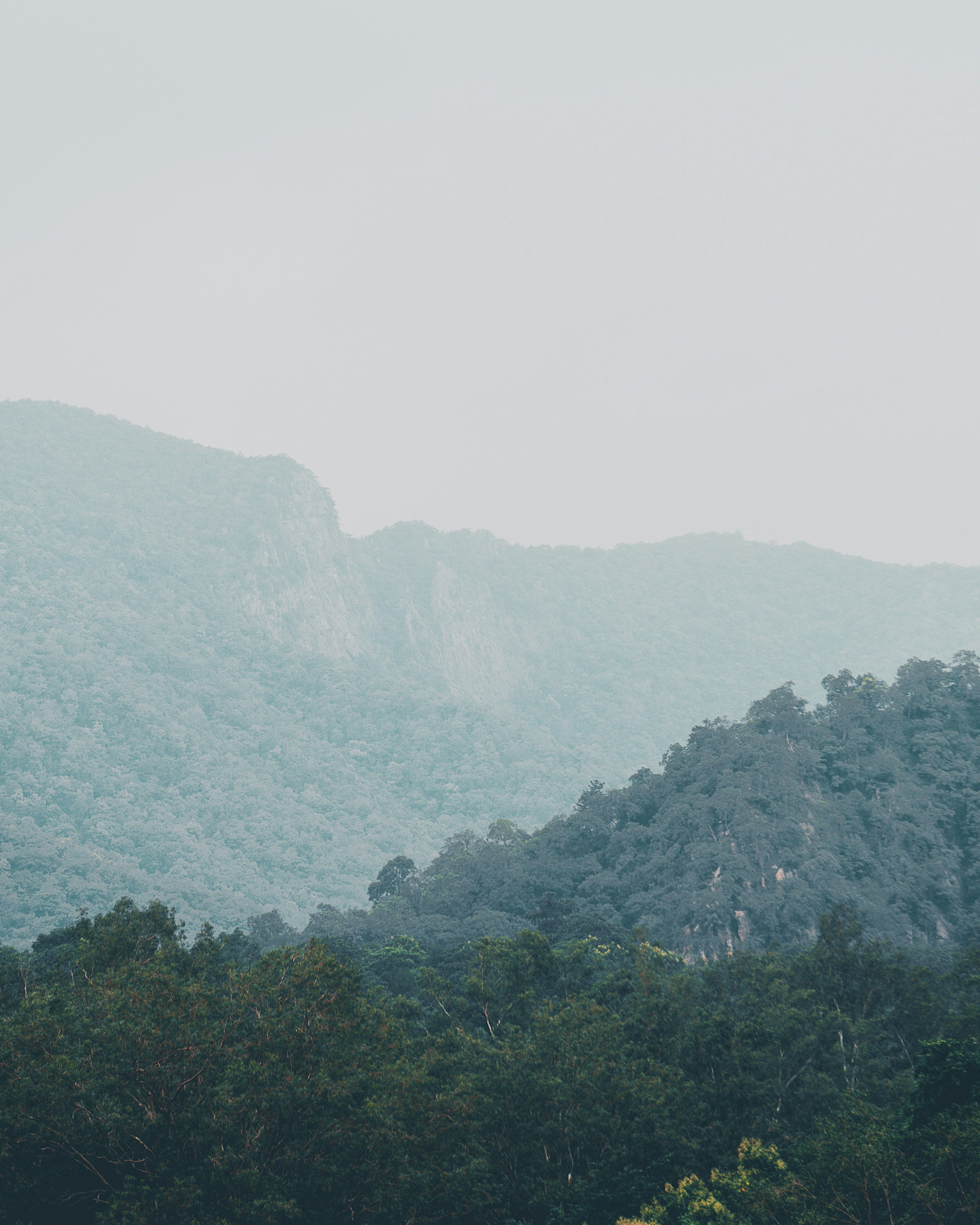 Photo by shubhamdodiya_