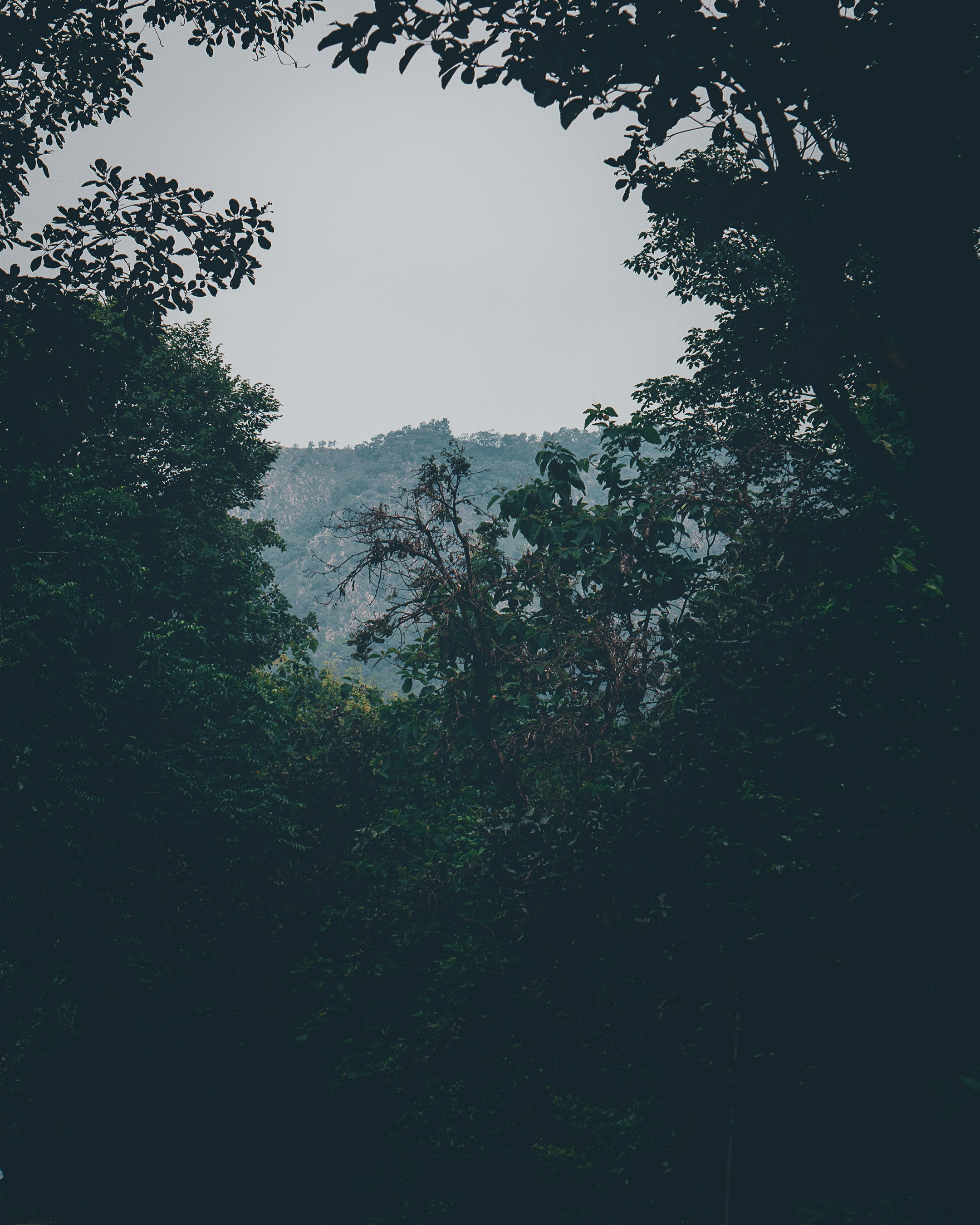 Photo by shubhamdodiya_