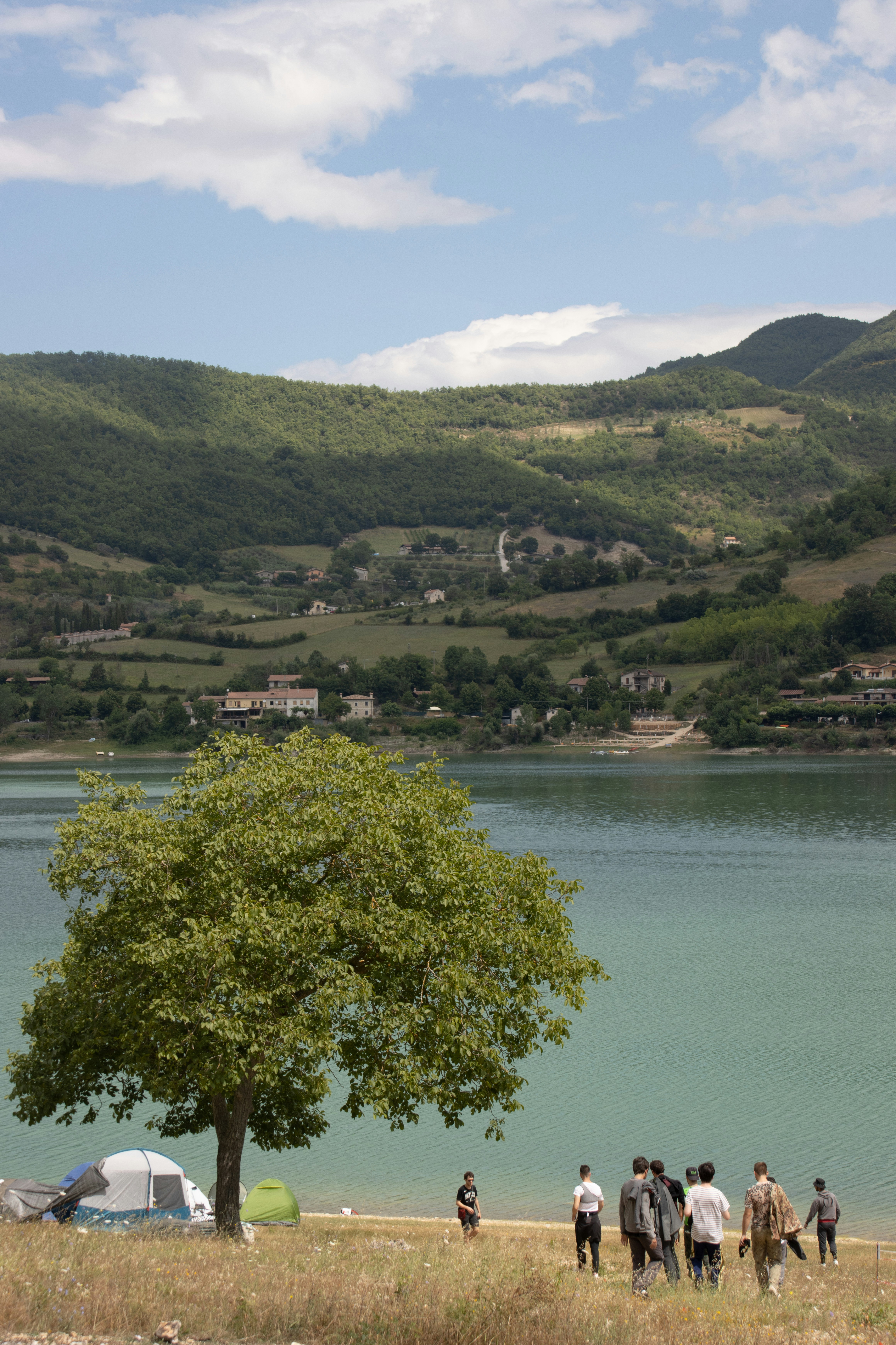 group camping tent, ilustrasi artikel Conquer the Outdoors: Your Ultimate Guide to the Best Group Basecamp Canopy Tents 4