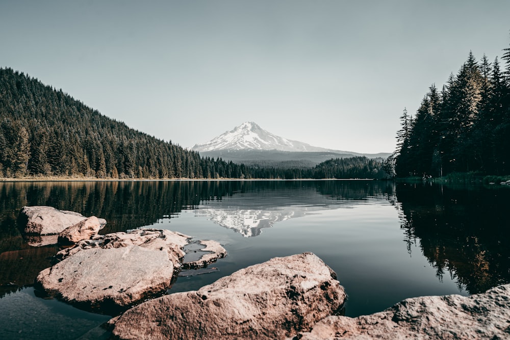 lake surrounded by green trees and mountain under blue sky during daytime