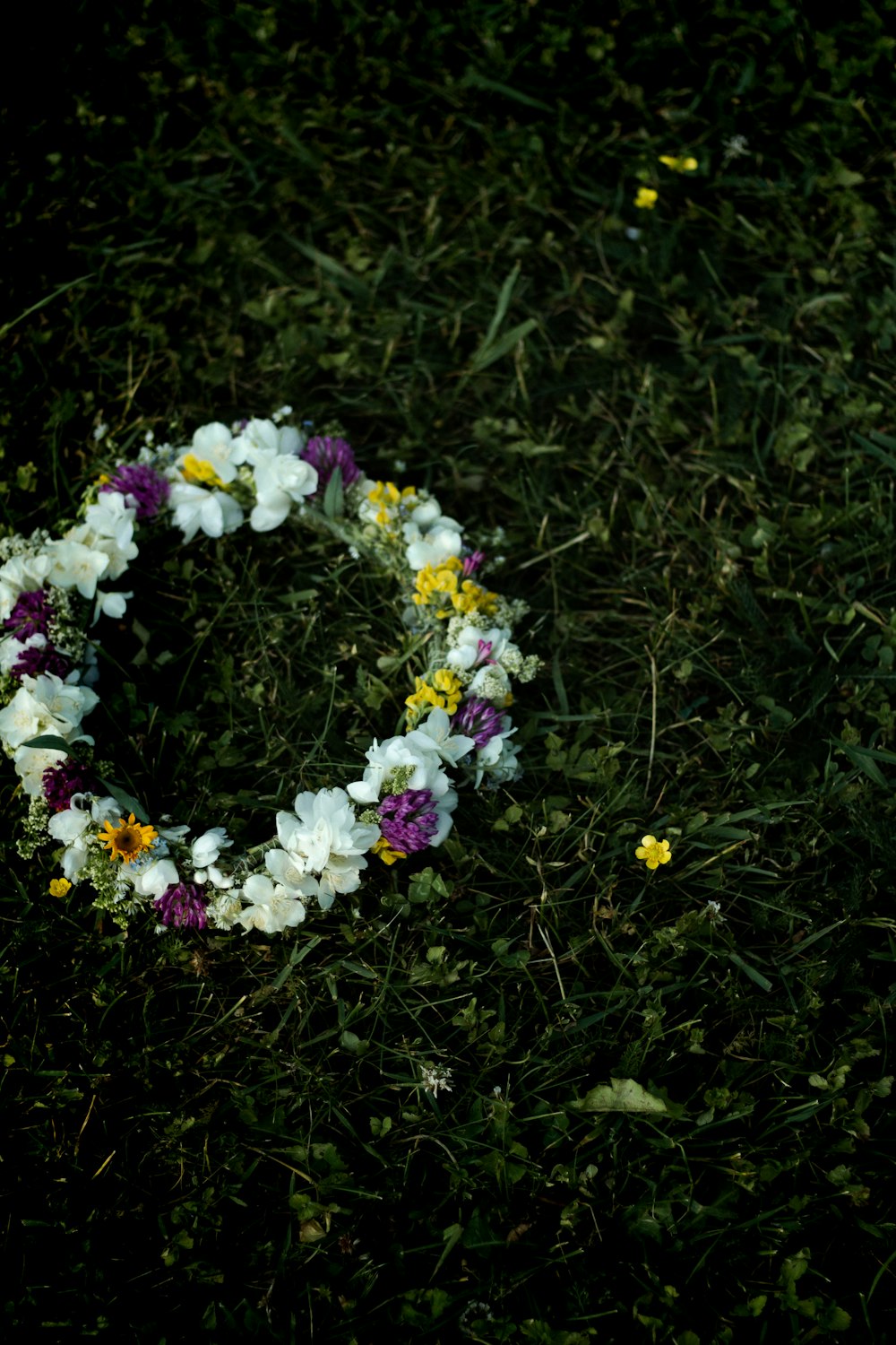 fleurs blanches et violettes sur l’herbe verte