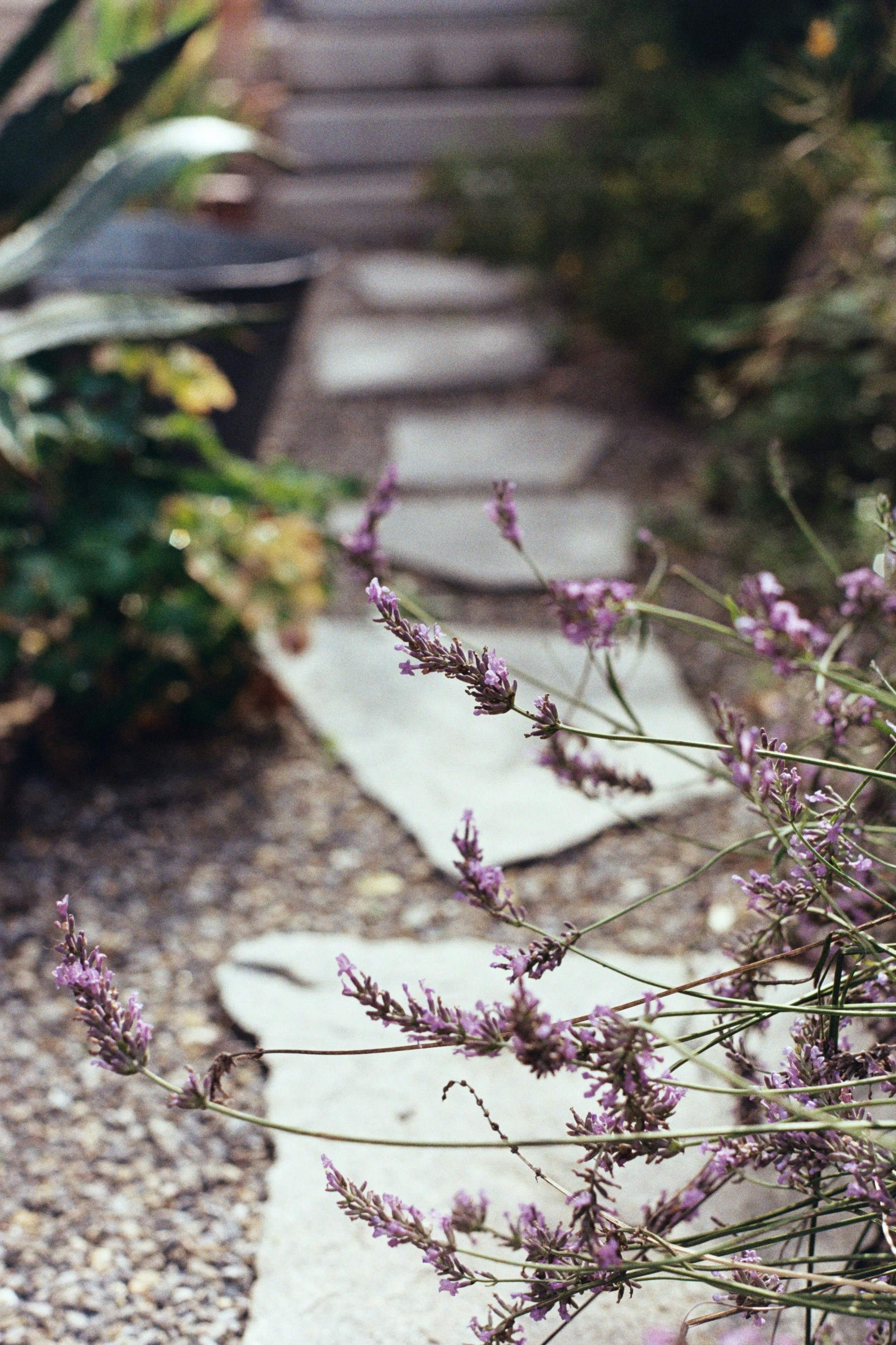 Garden inputs