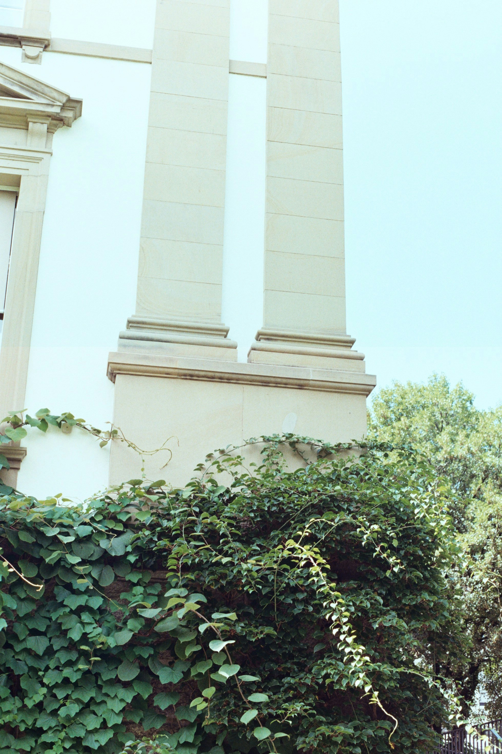 Photo by laurenceziegler