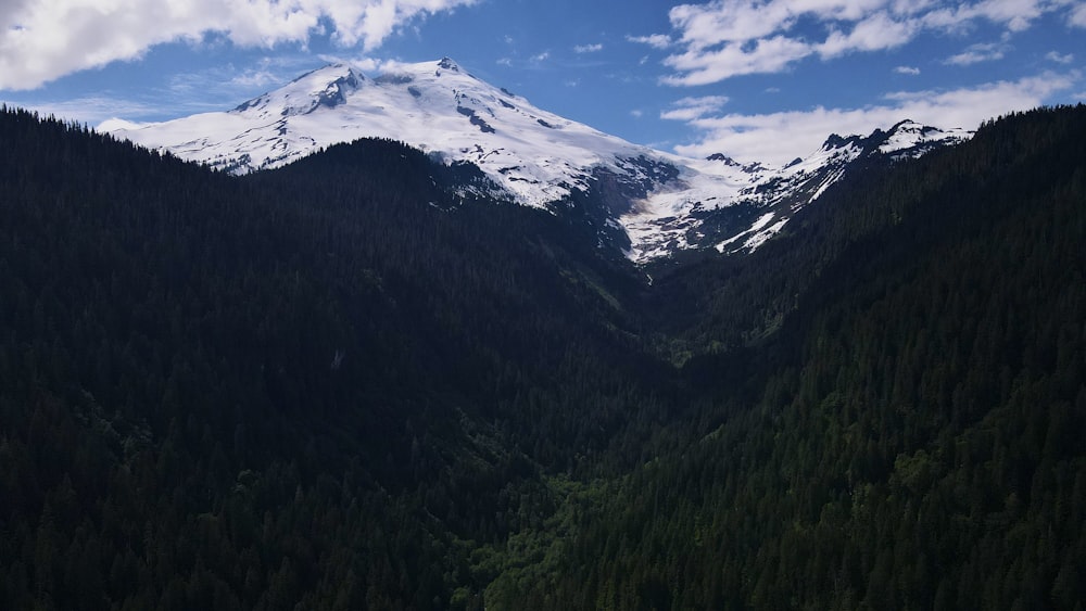 green trees on mountain under blue sky during daytime