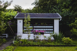 white wooden house near green grass field during daytime