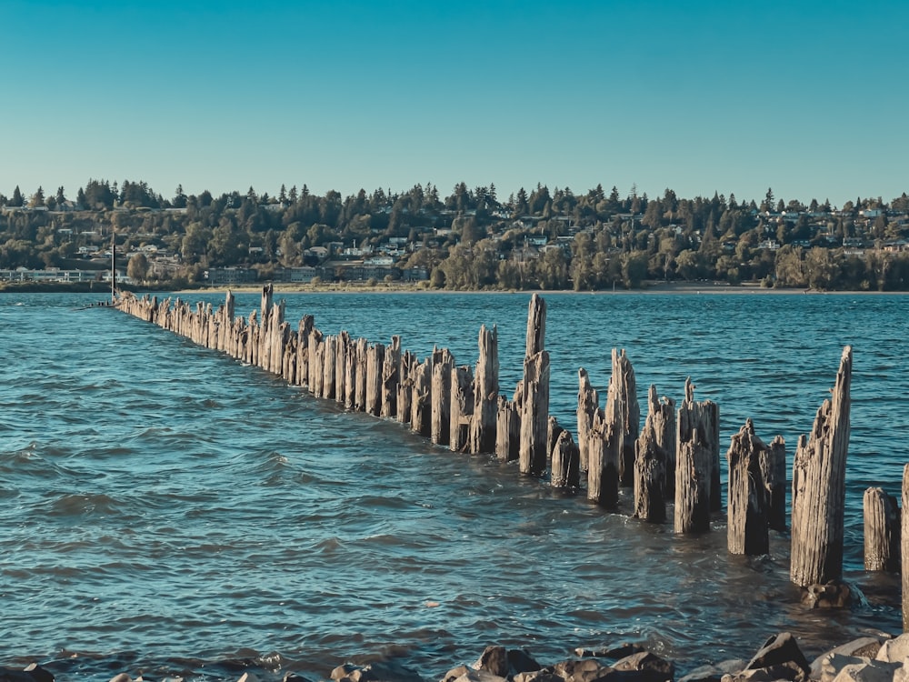 brown wooden poles on body of water during daytime