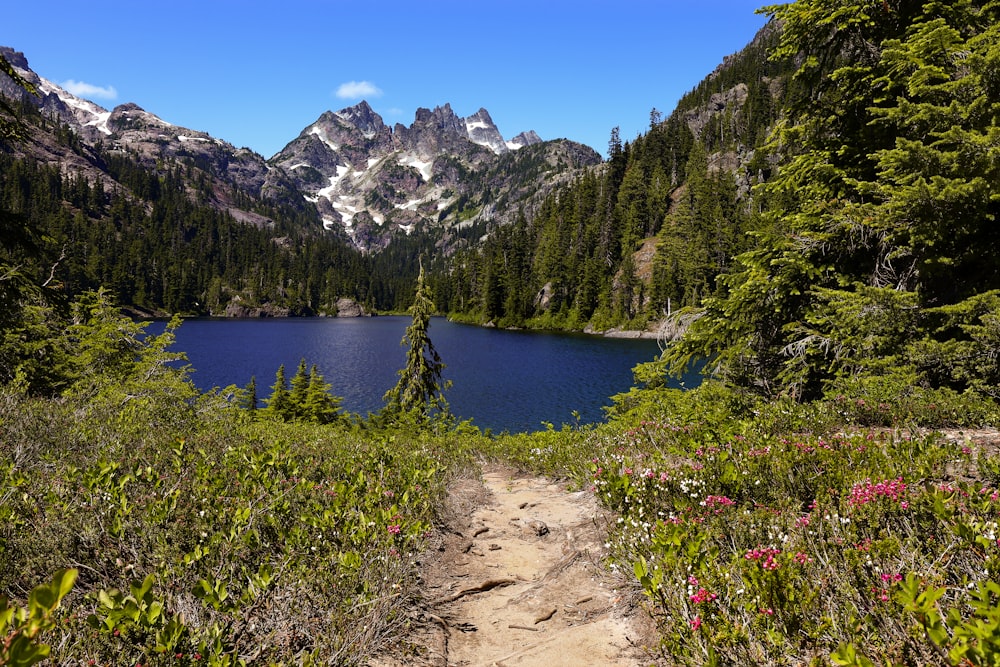 lake surrounded by green trees and snow covered mountains during daytime