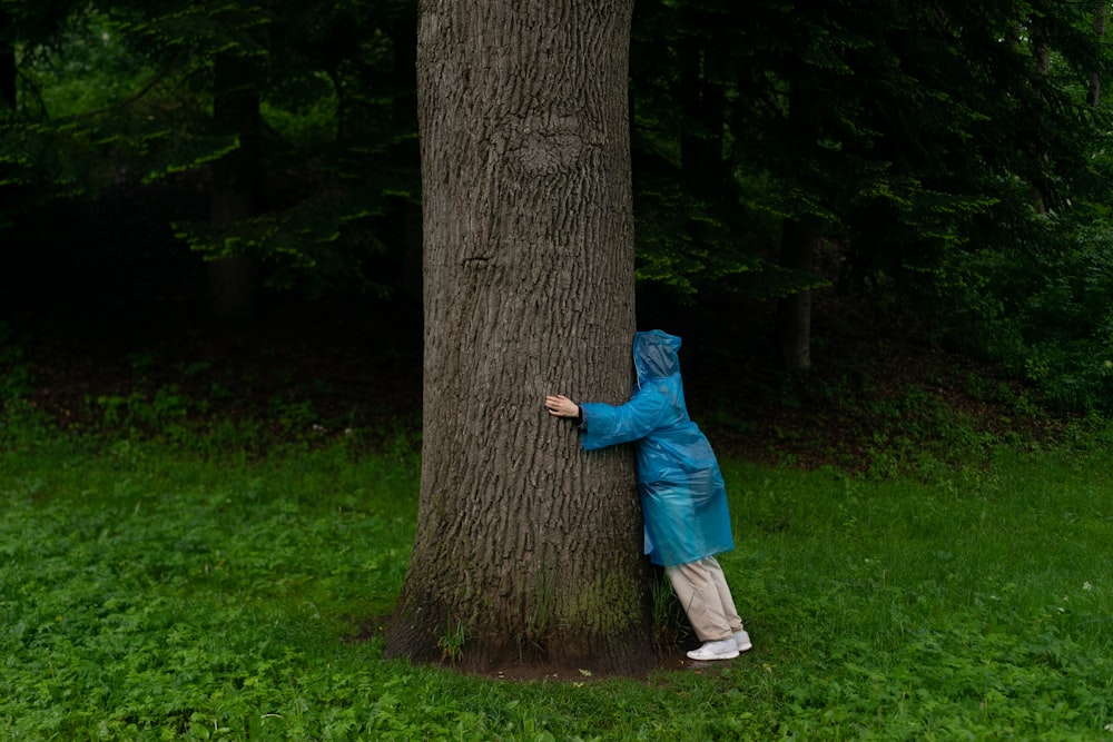 Persona in felpa con cappuccio blu in piedi accanto all'albero marrone