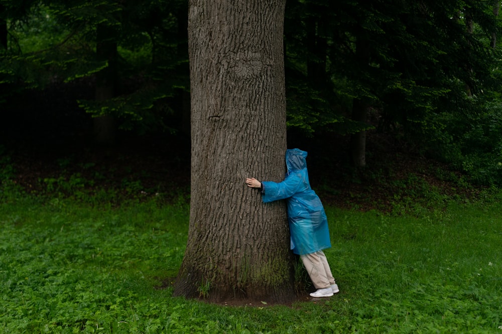 person in blue hoodie standing beside brown tree