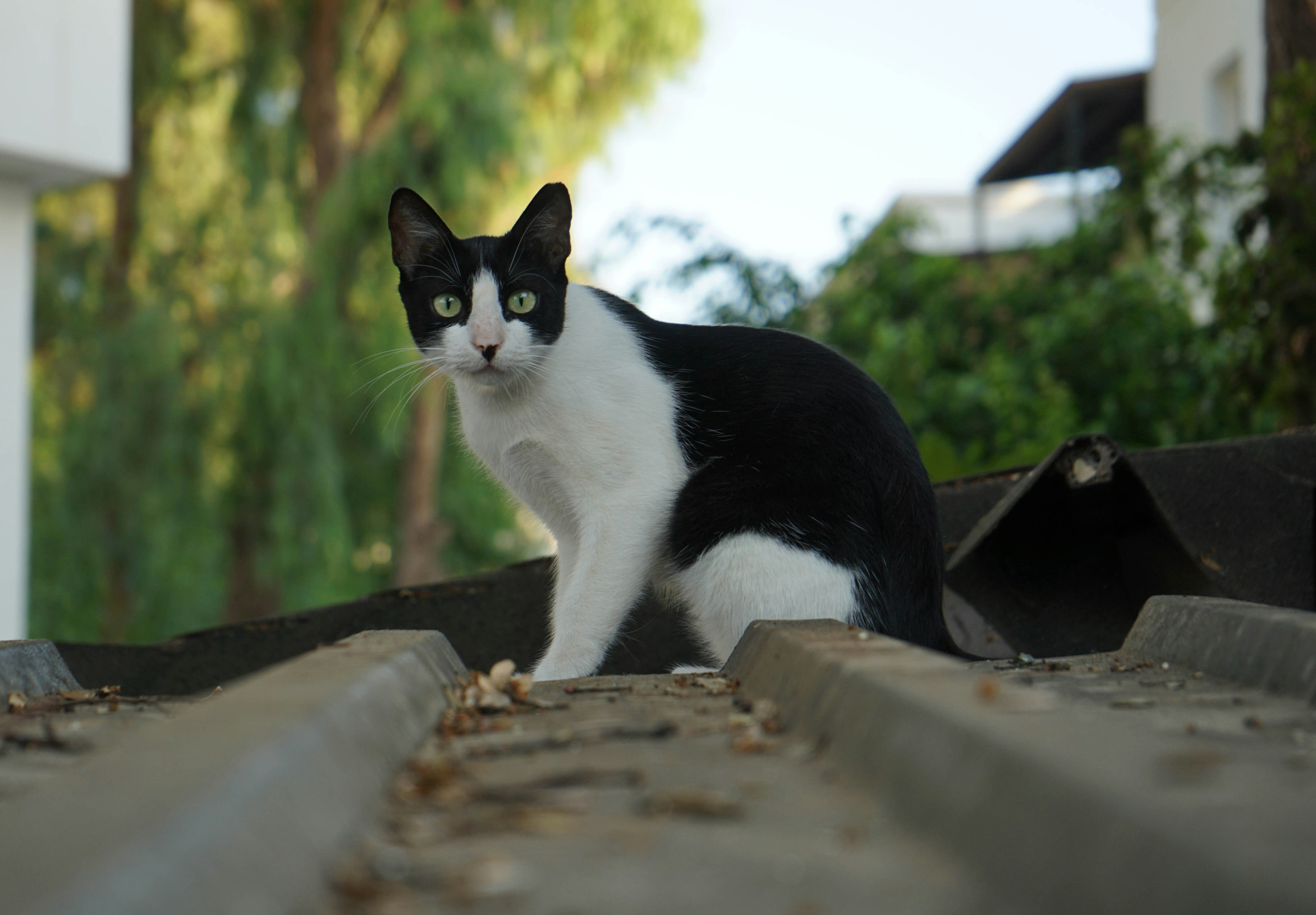 Photo by ignatkushanrev