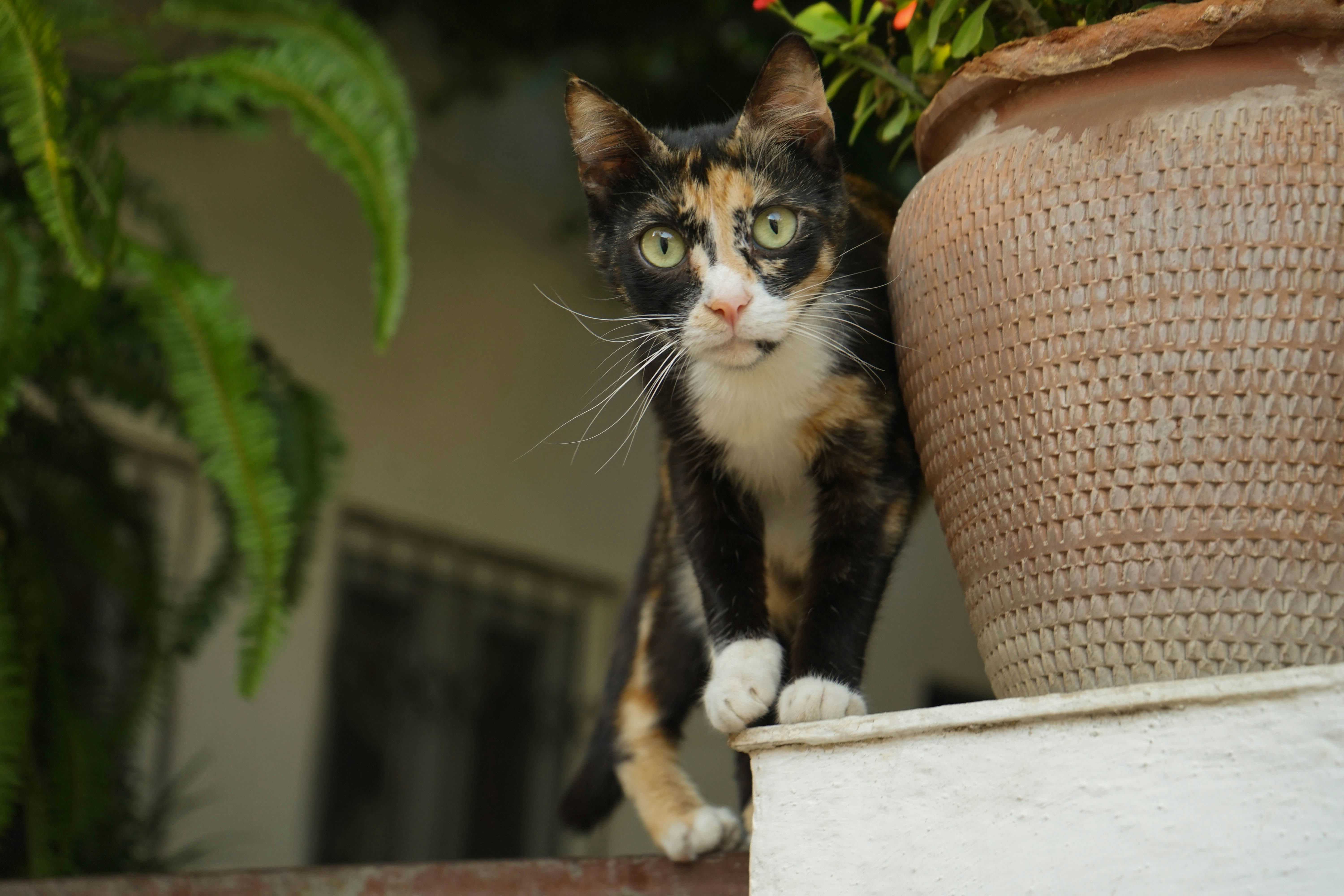 Photo by ignatkushanrev