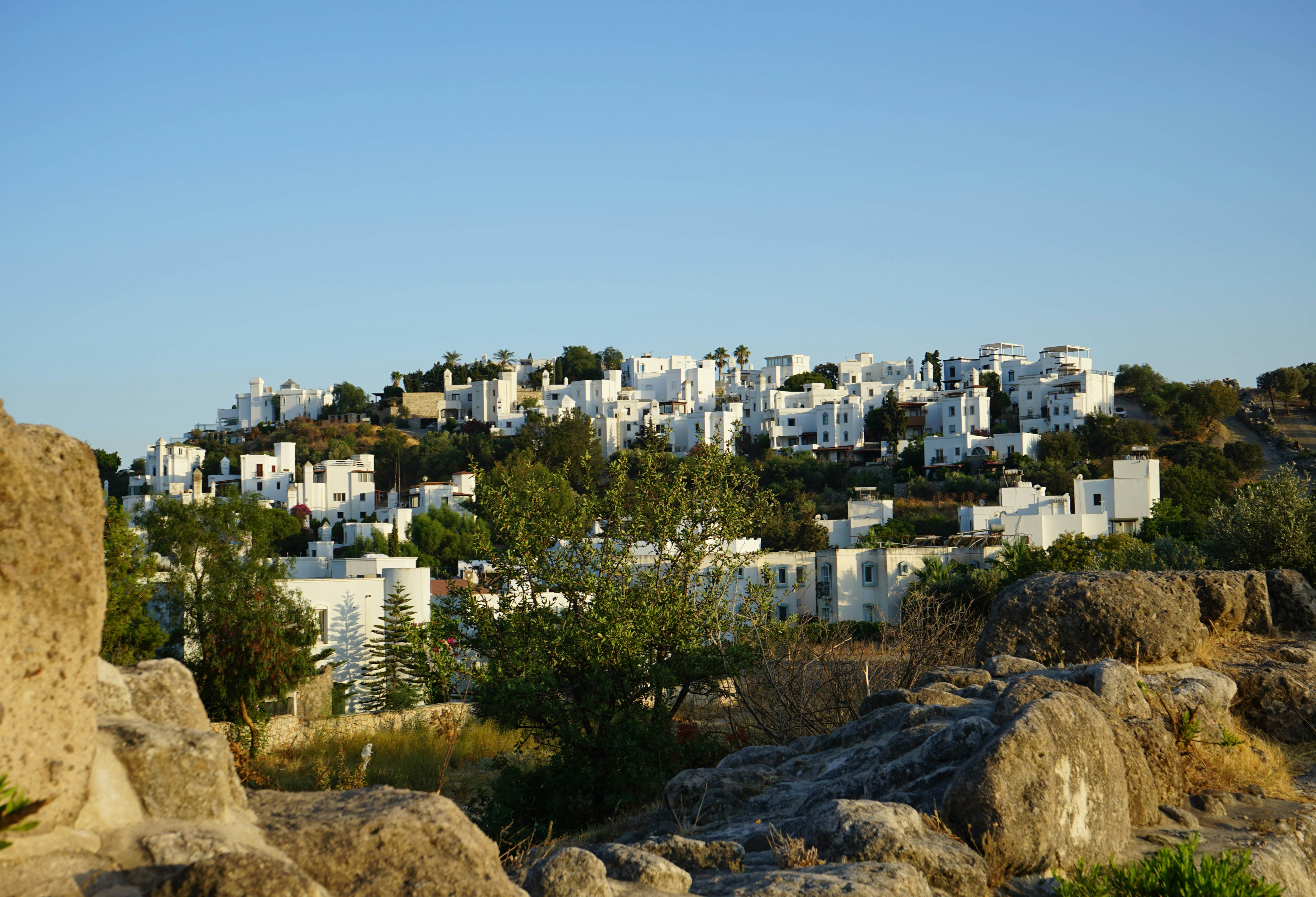 Photo by ignatkushanrev