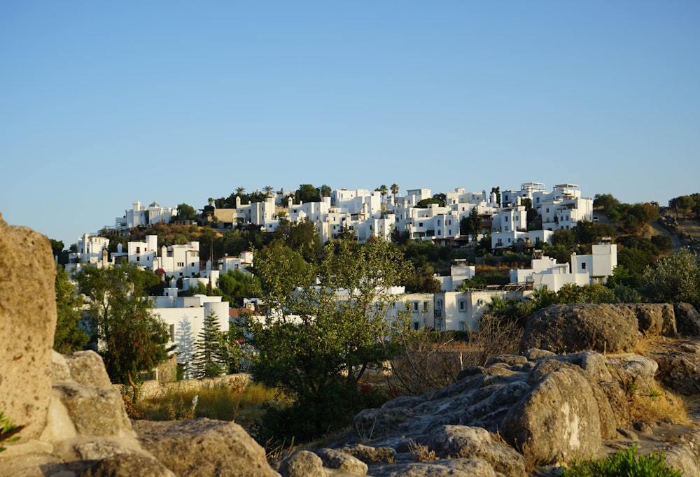 white concrete buildings under blue sky during daytime