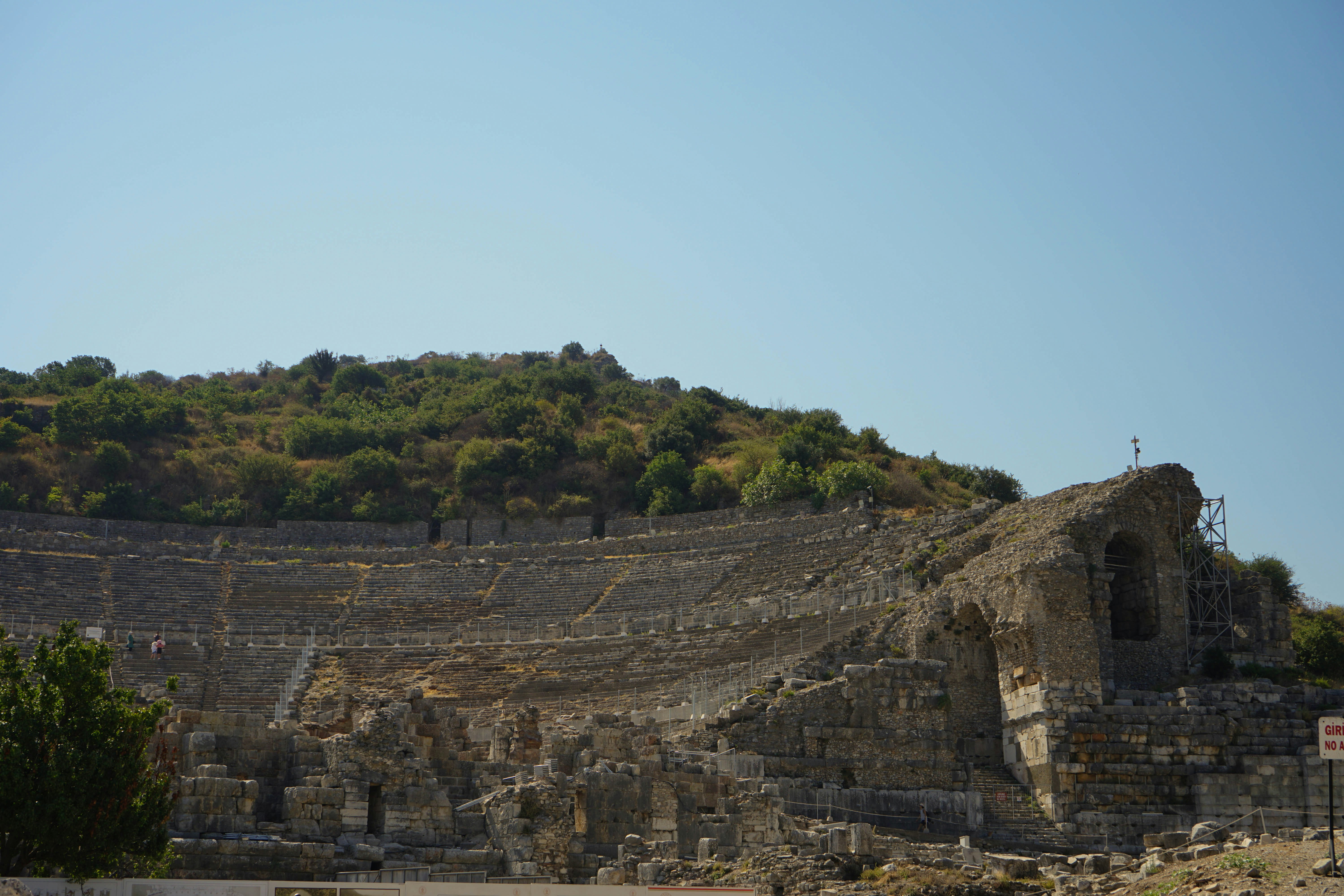 green trees on mountain under blue sky during daytime