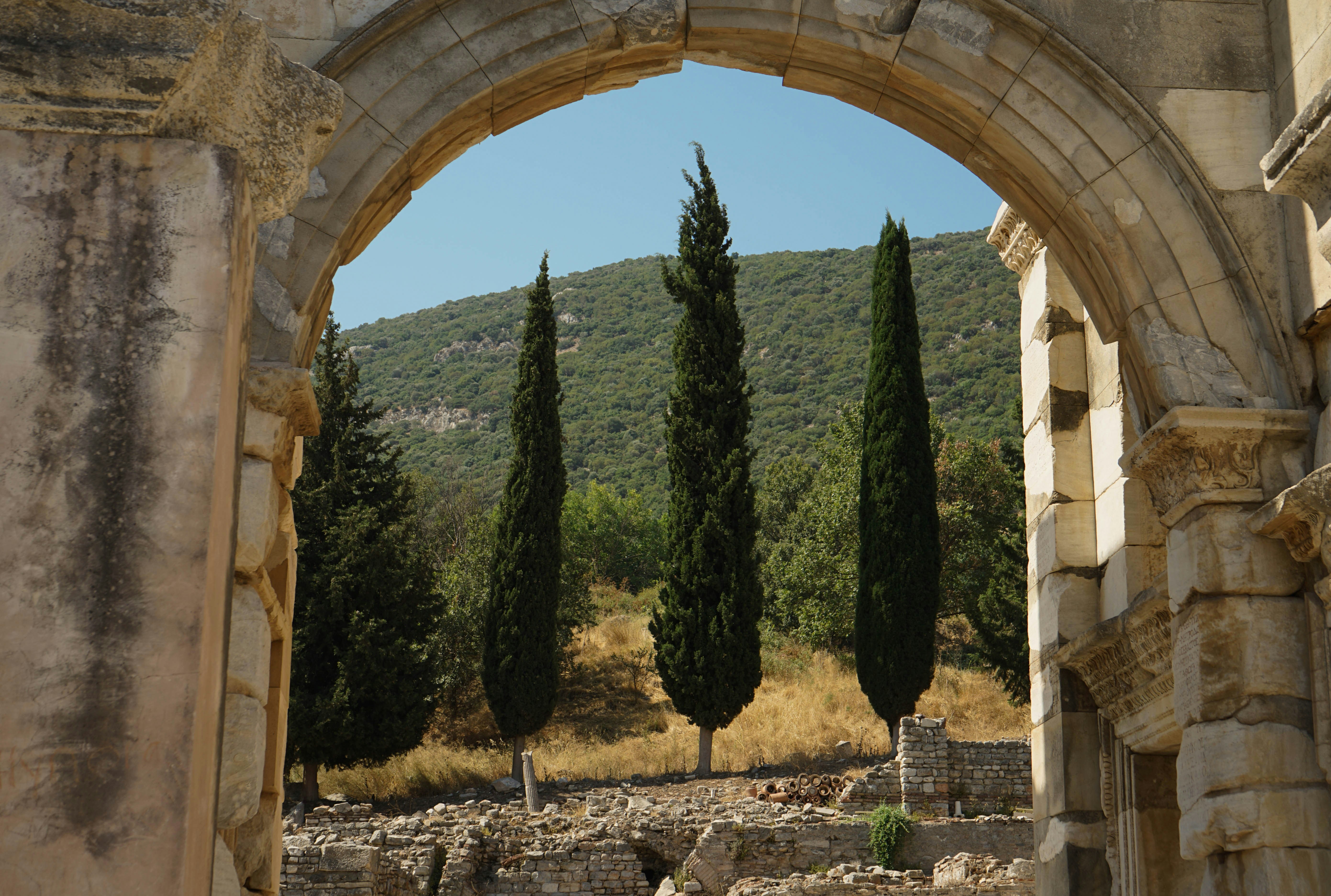 Photo by ignatkushanrev