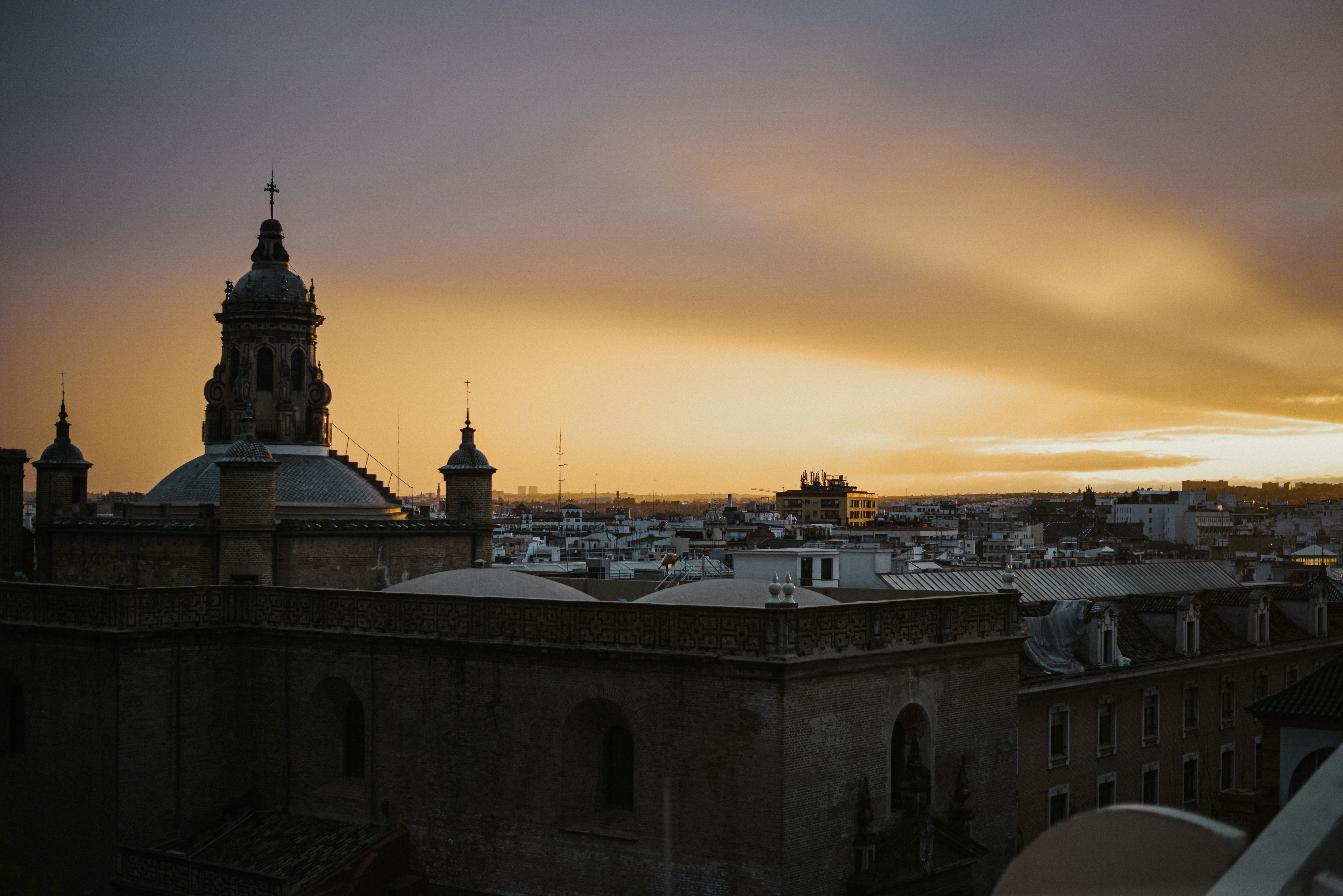 Image by Anastasia Saldatava via Unsplash