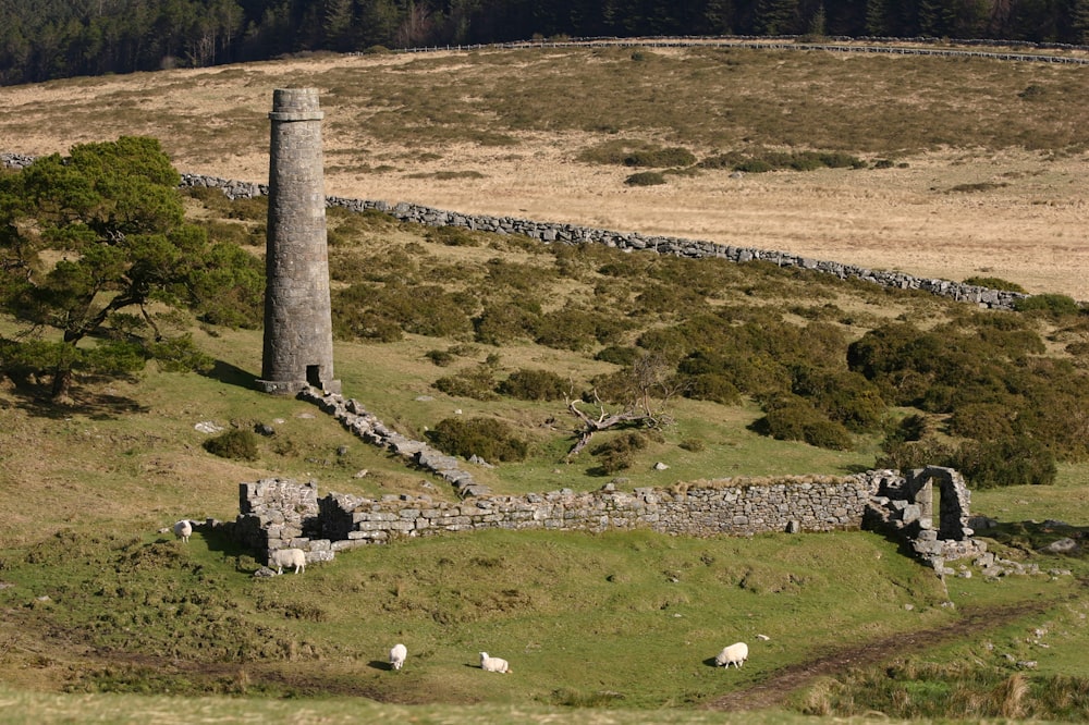 a stone tower sitting on top of a lush green hillside