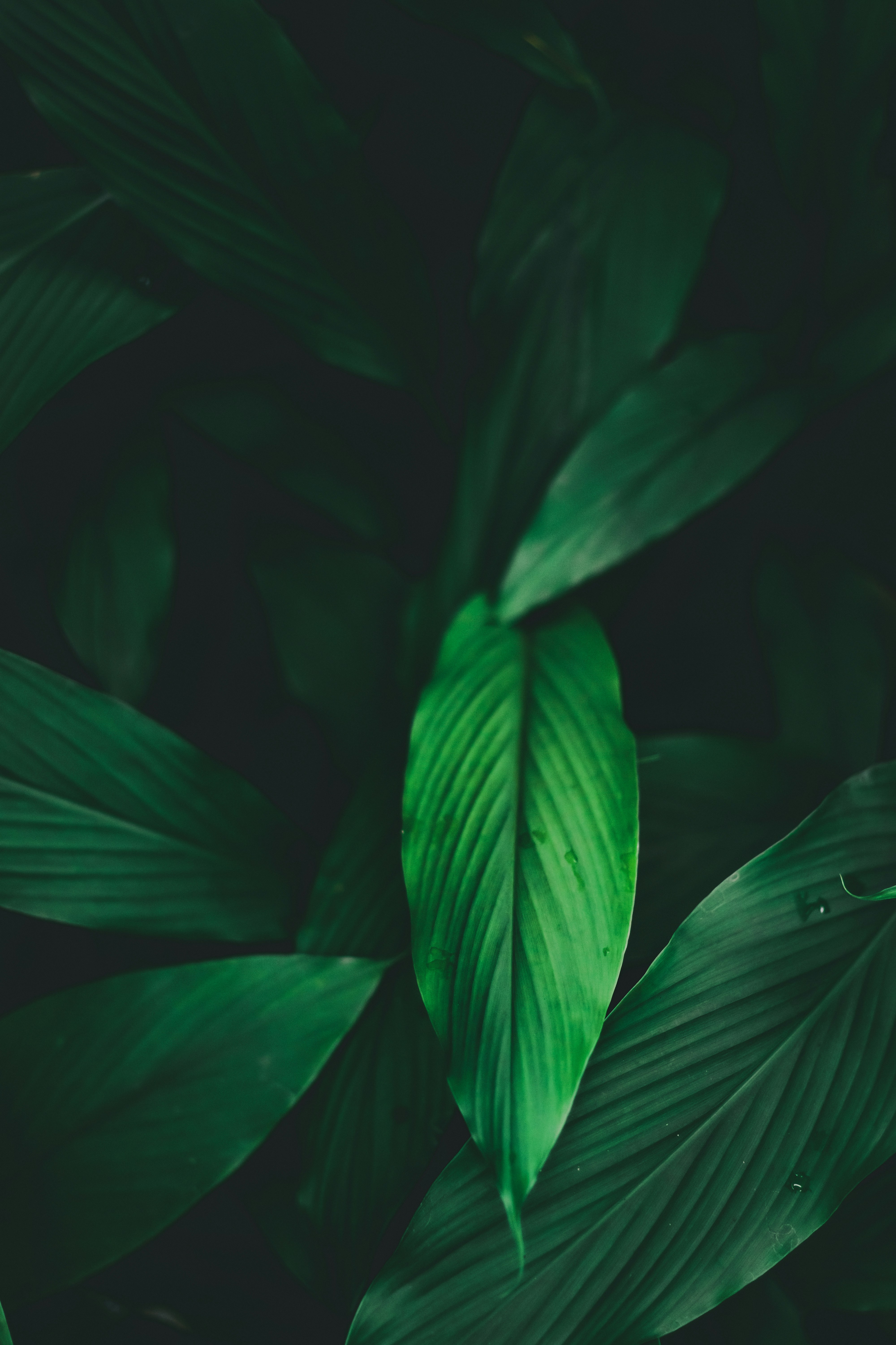 Photo by lazyartistgallery