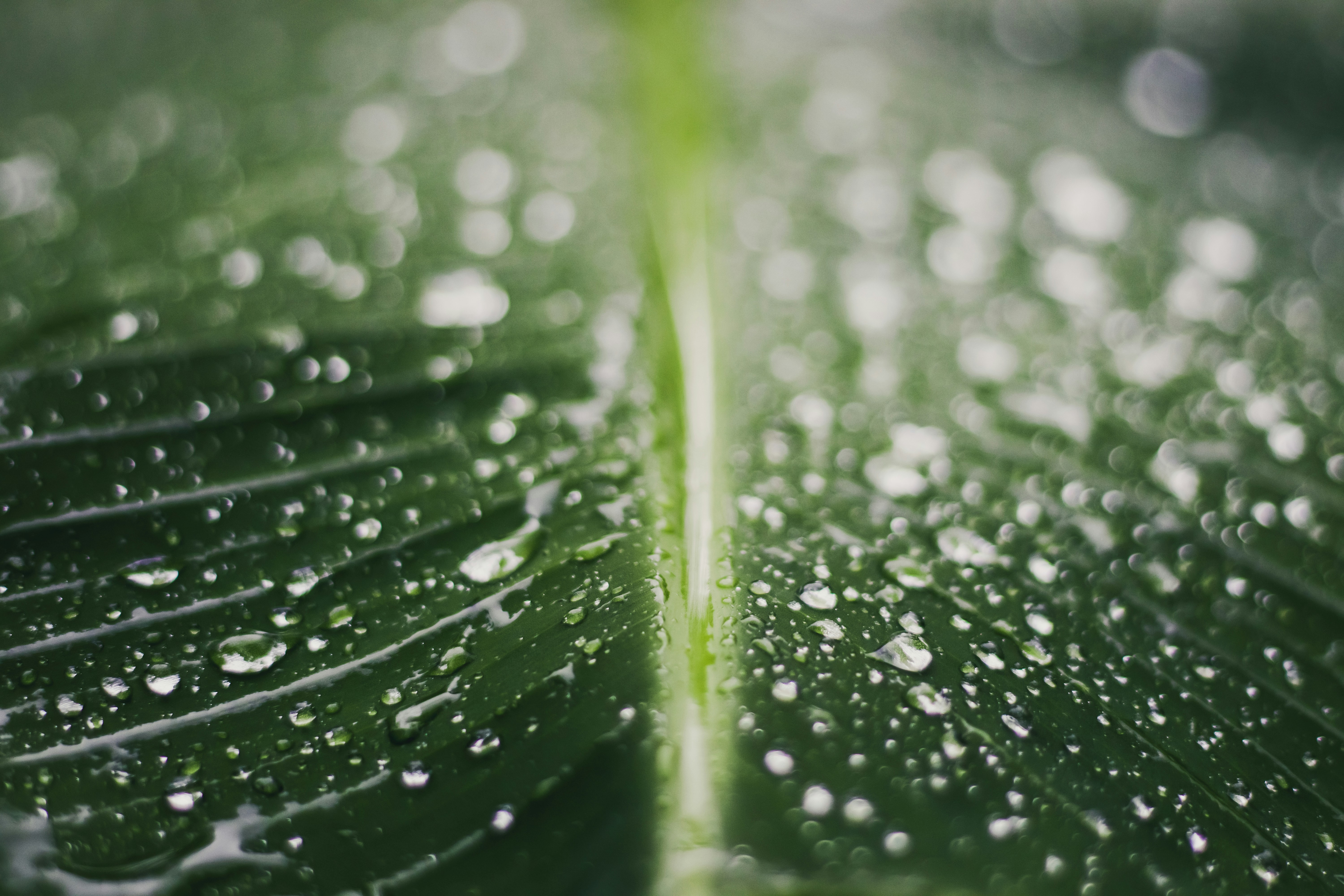 Photo by lazyartistgallery