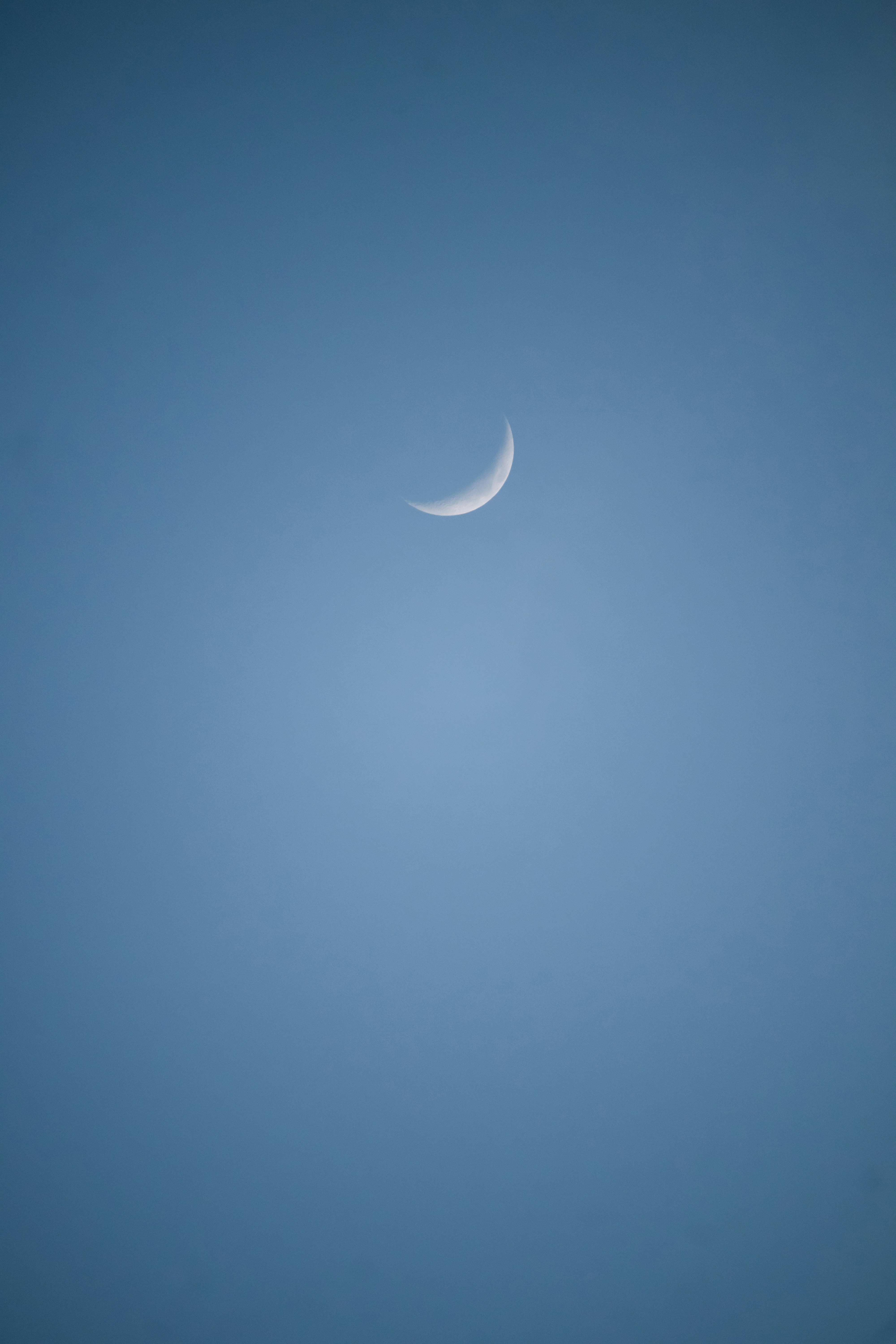 Photo by lazyartistgallery