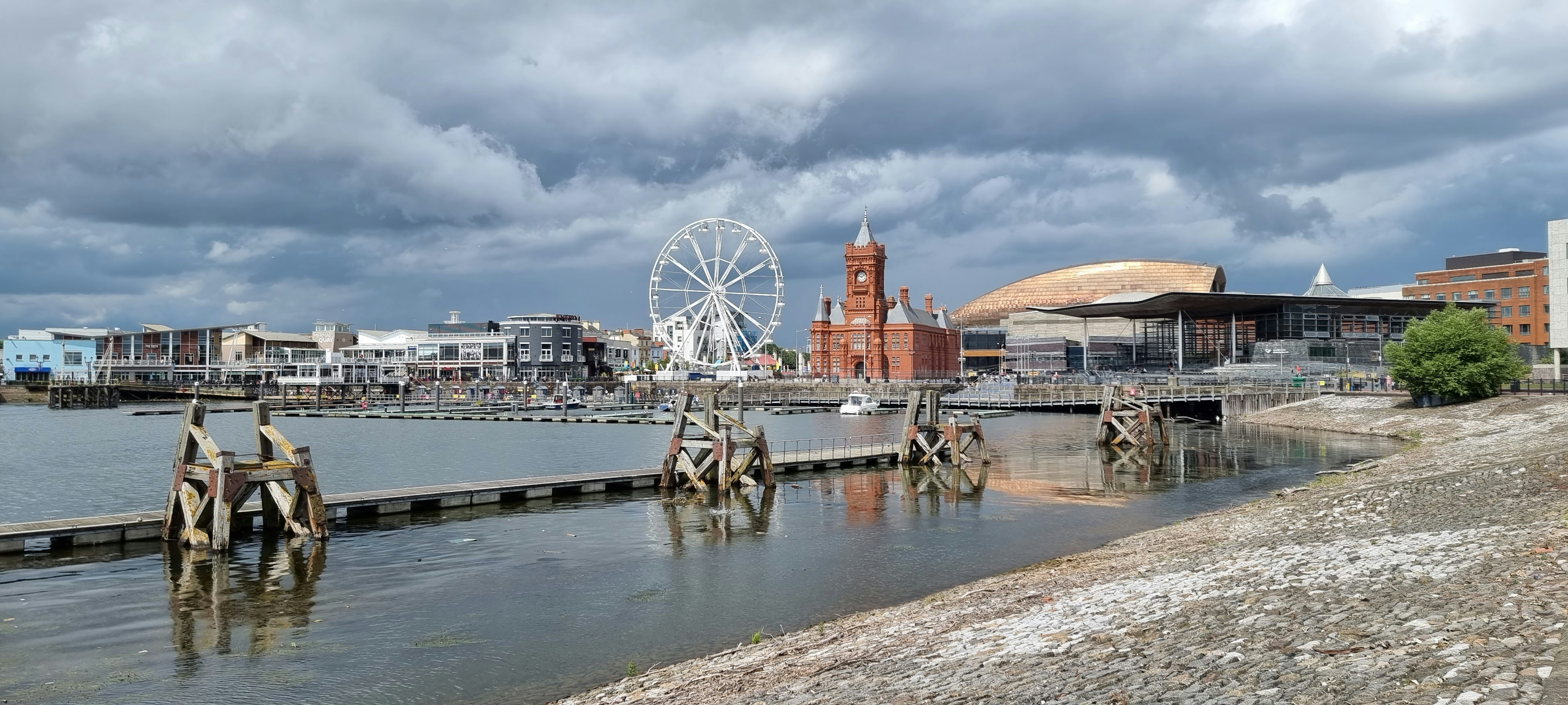 ferris wheel near body of water during daytime